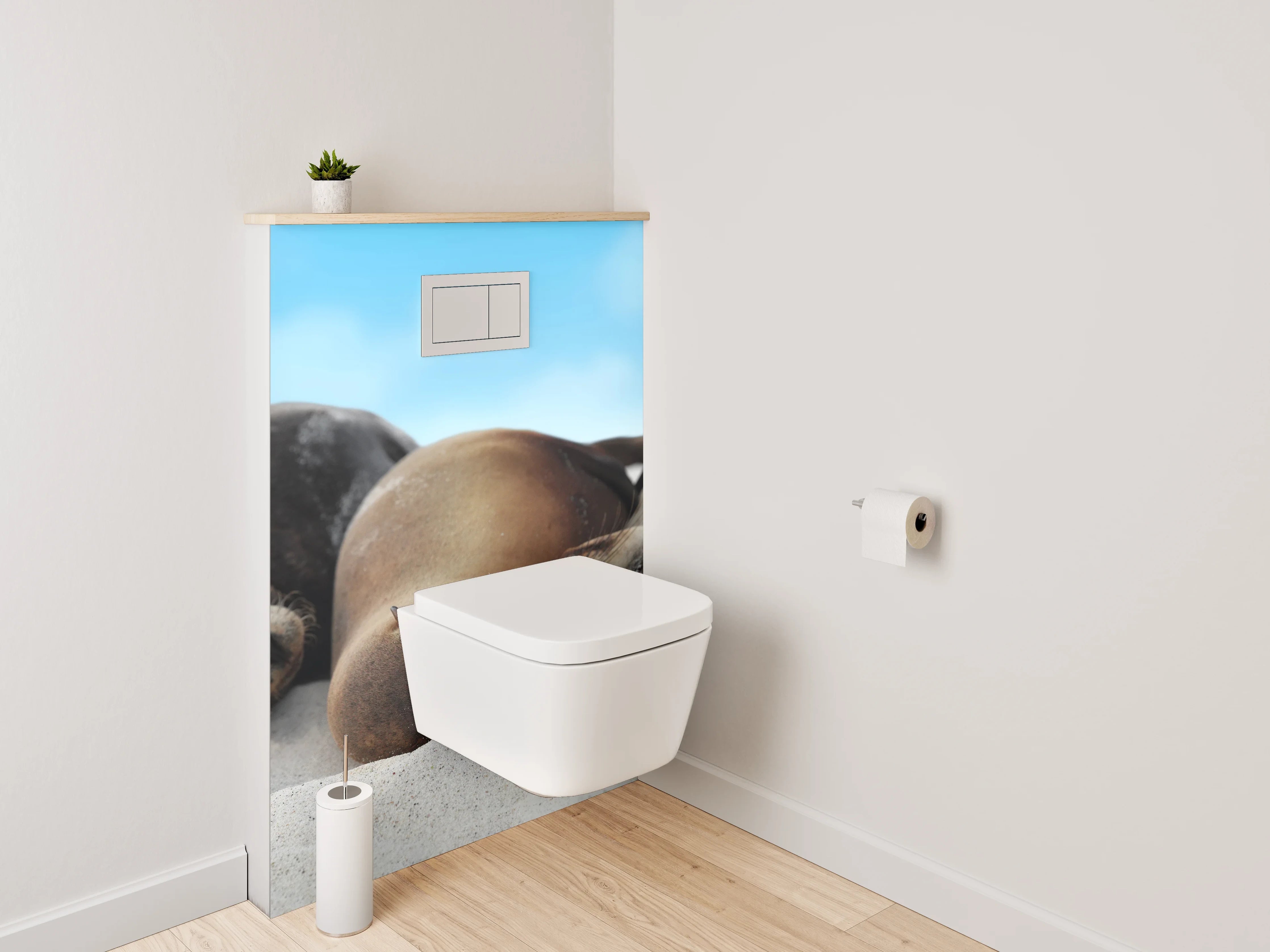 WC-Rückwand - Entspannte Seelöwen am Sandstrand