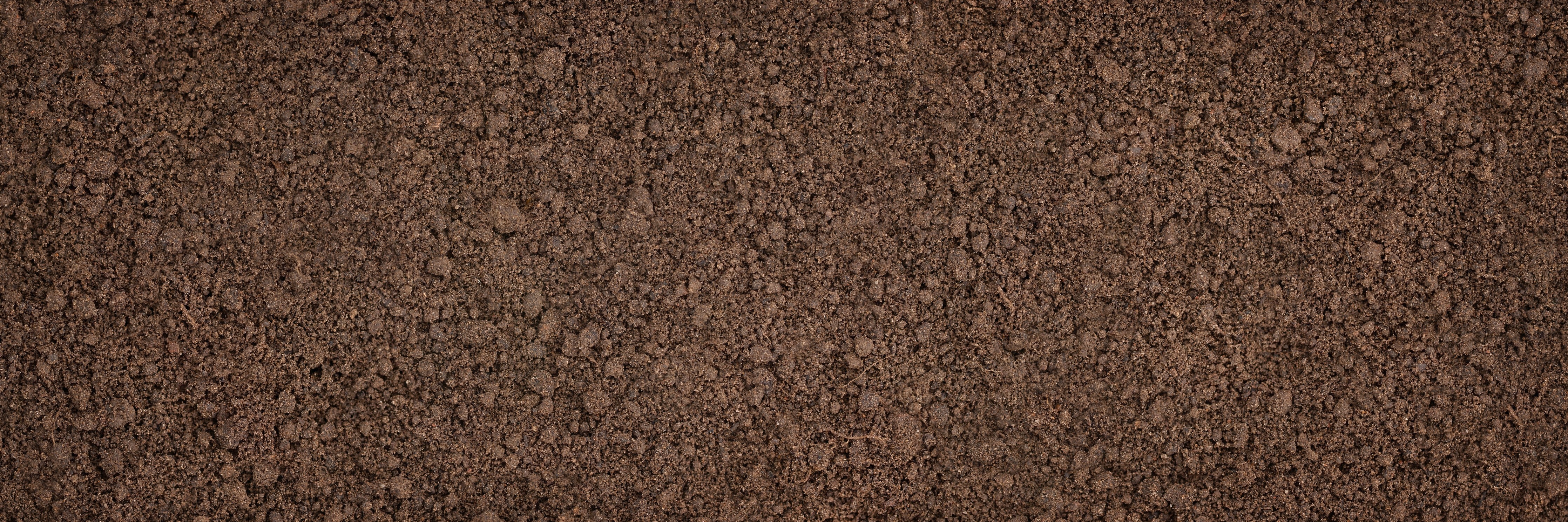 WC-Rückwand-Erdstruktur Braun Naturtextur