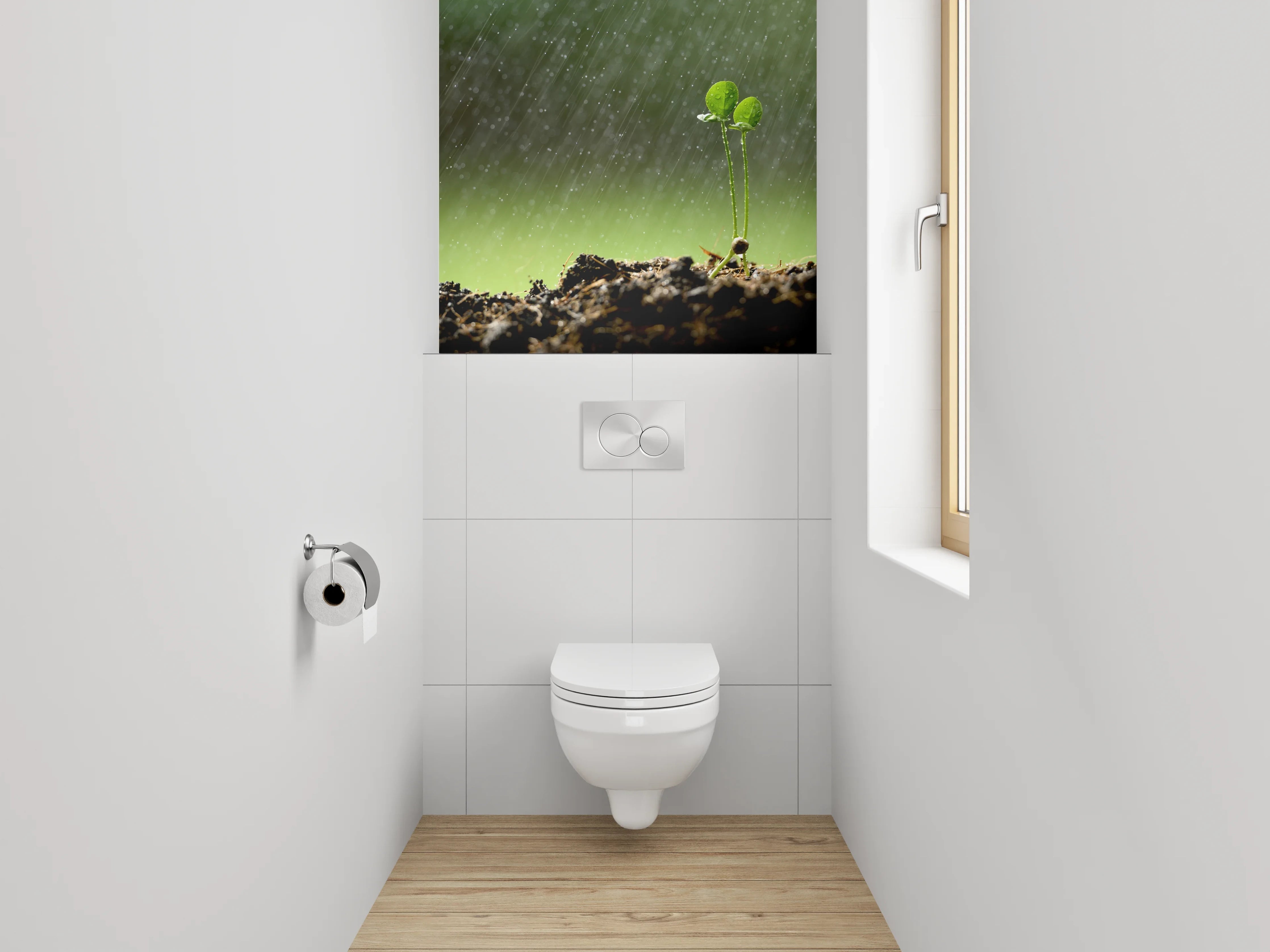 WC-Rückwand - Frischer Keimling im Regen