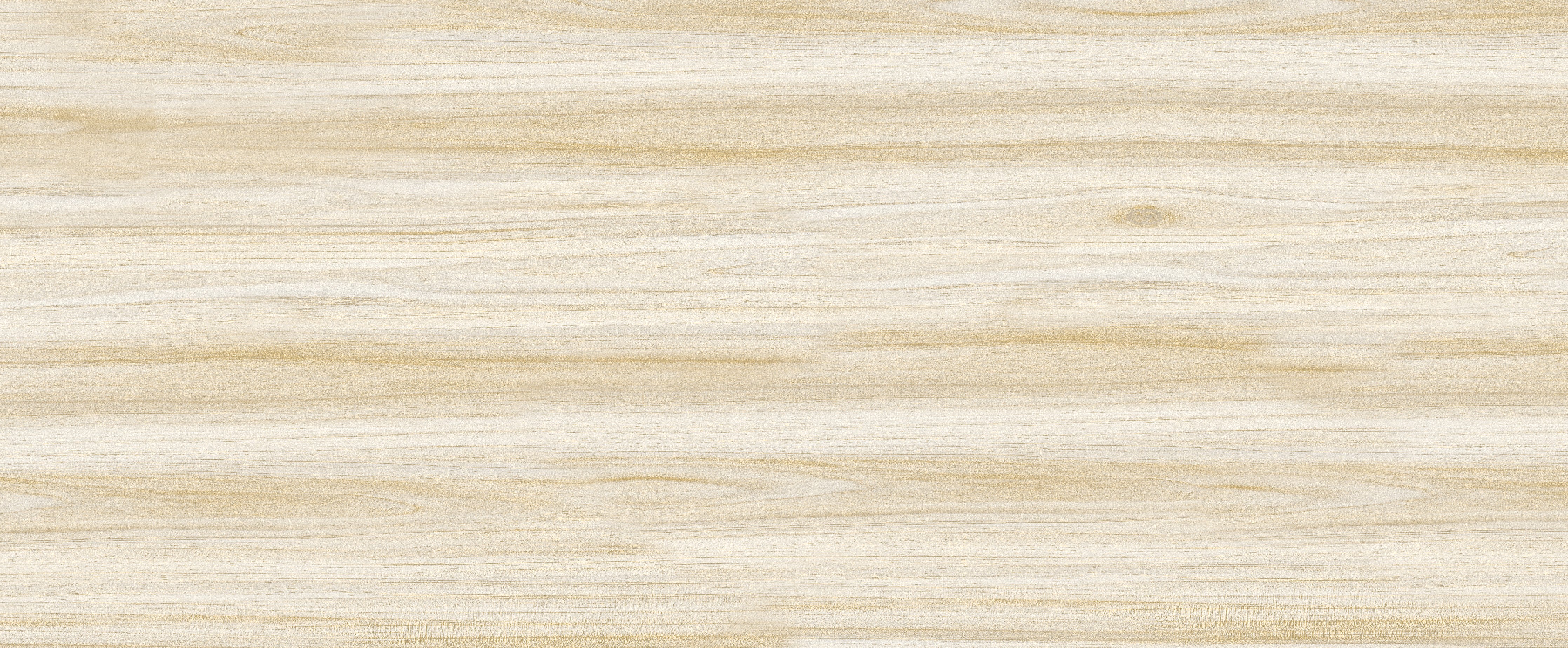 WC-Rückwand-Helles Holzdekor natürlich