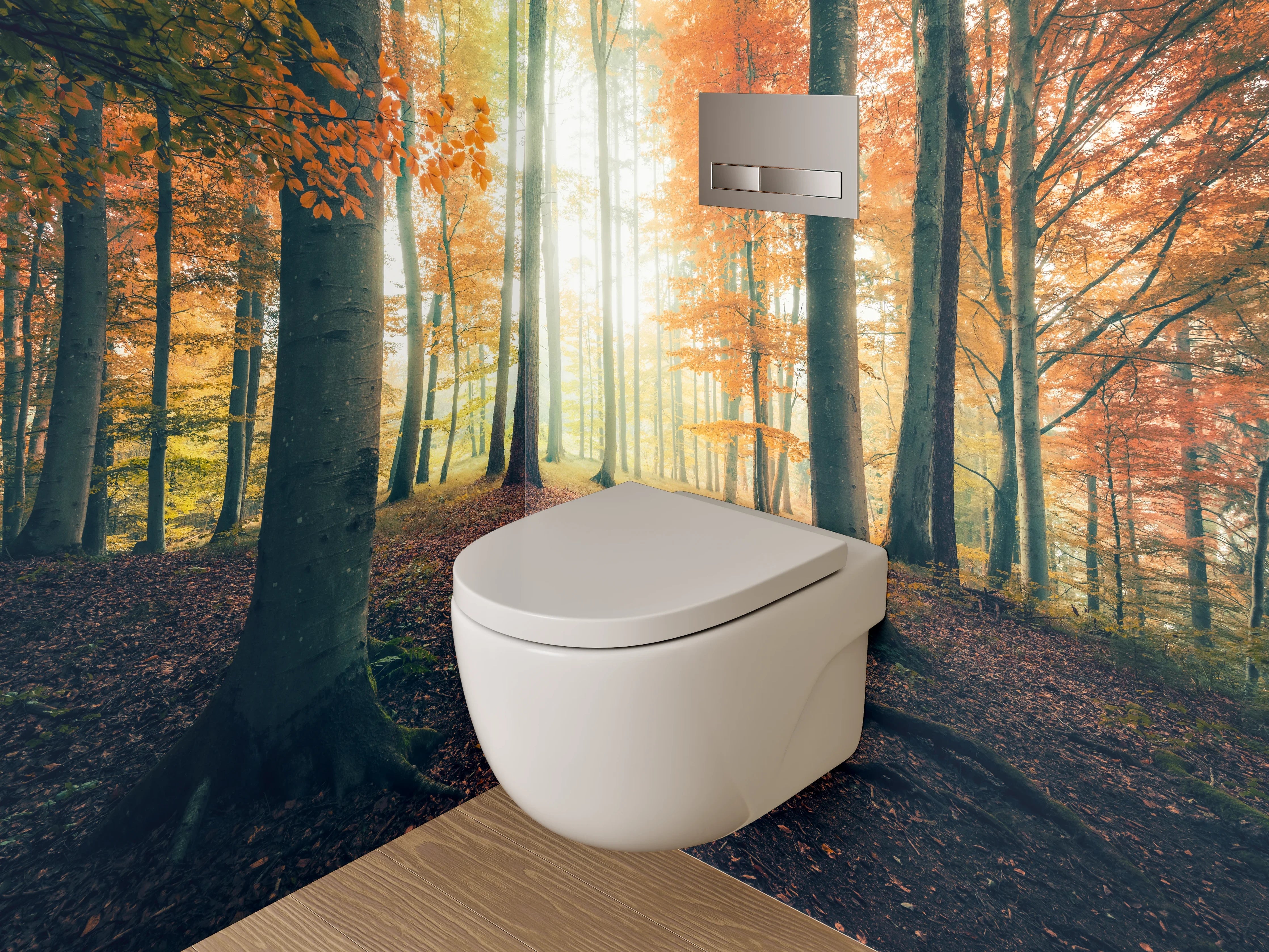WC-Rückwand - Herbstlicher Lichtwald – Sonnenstrahlen im Wald