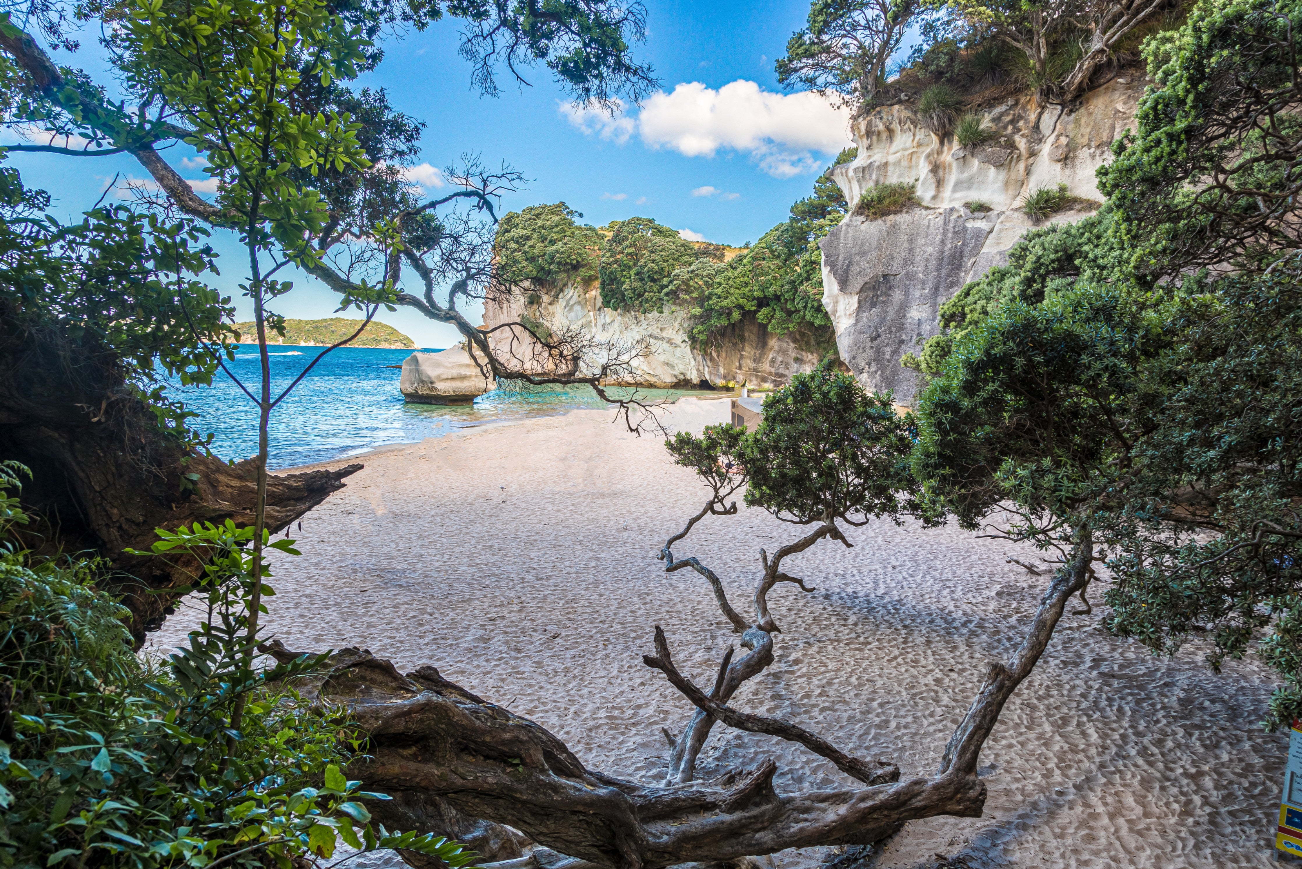 WC-Rückwand-Idyllischer Sandstrand mit Felsen und Bäumen