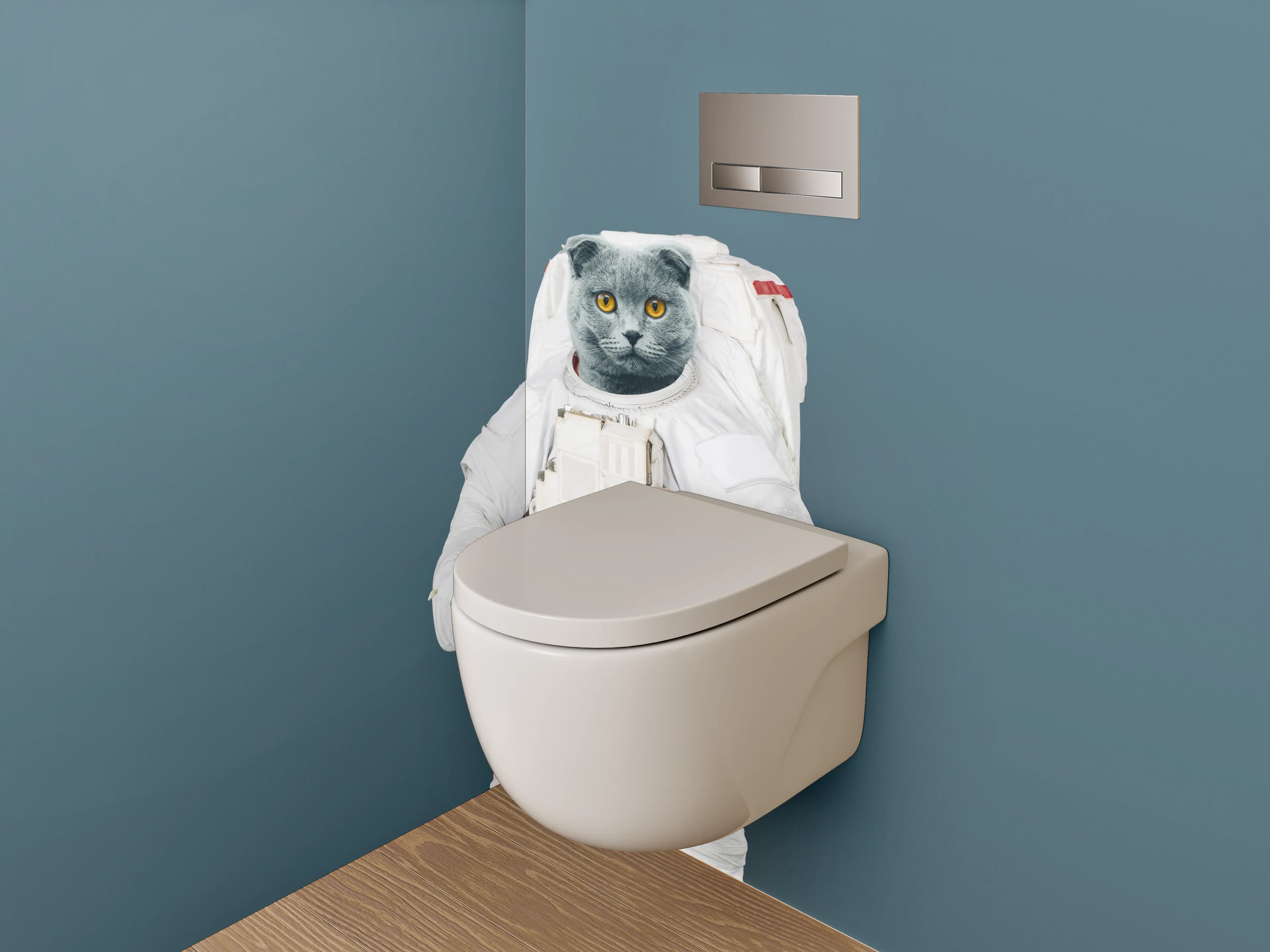 WC-Rückwand - Katze als Astronaut im Weltall