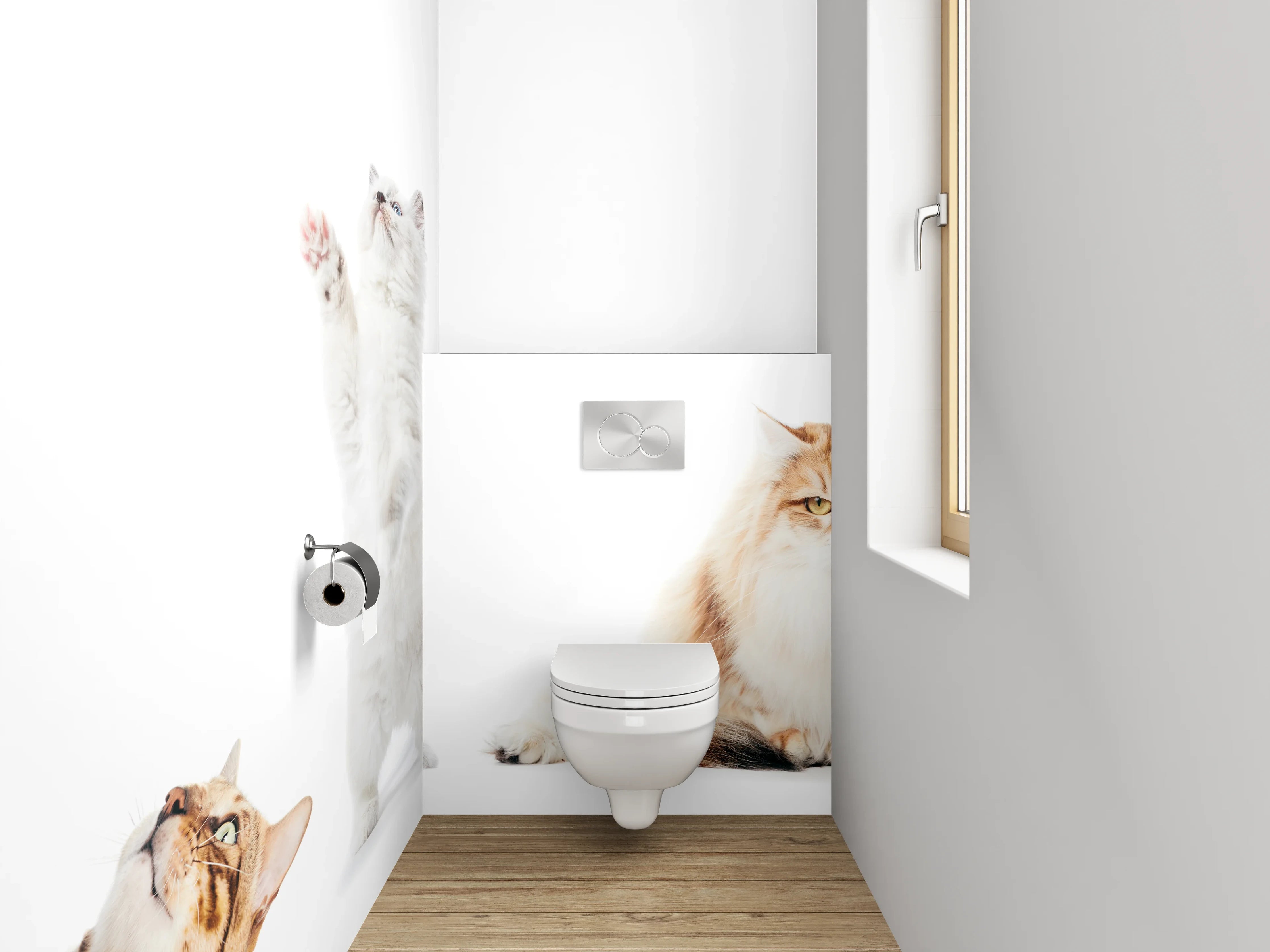 WC-Rückwand - Katzenparade auf weißem Hintergrund
