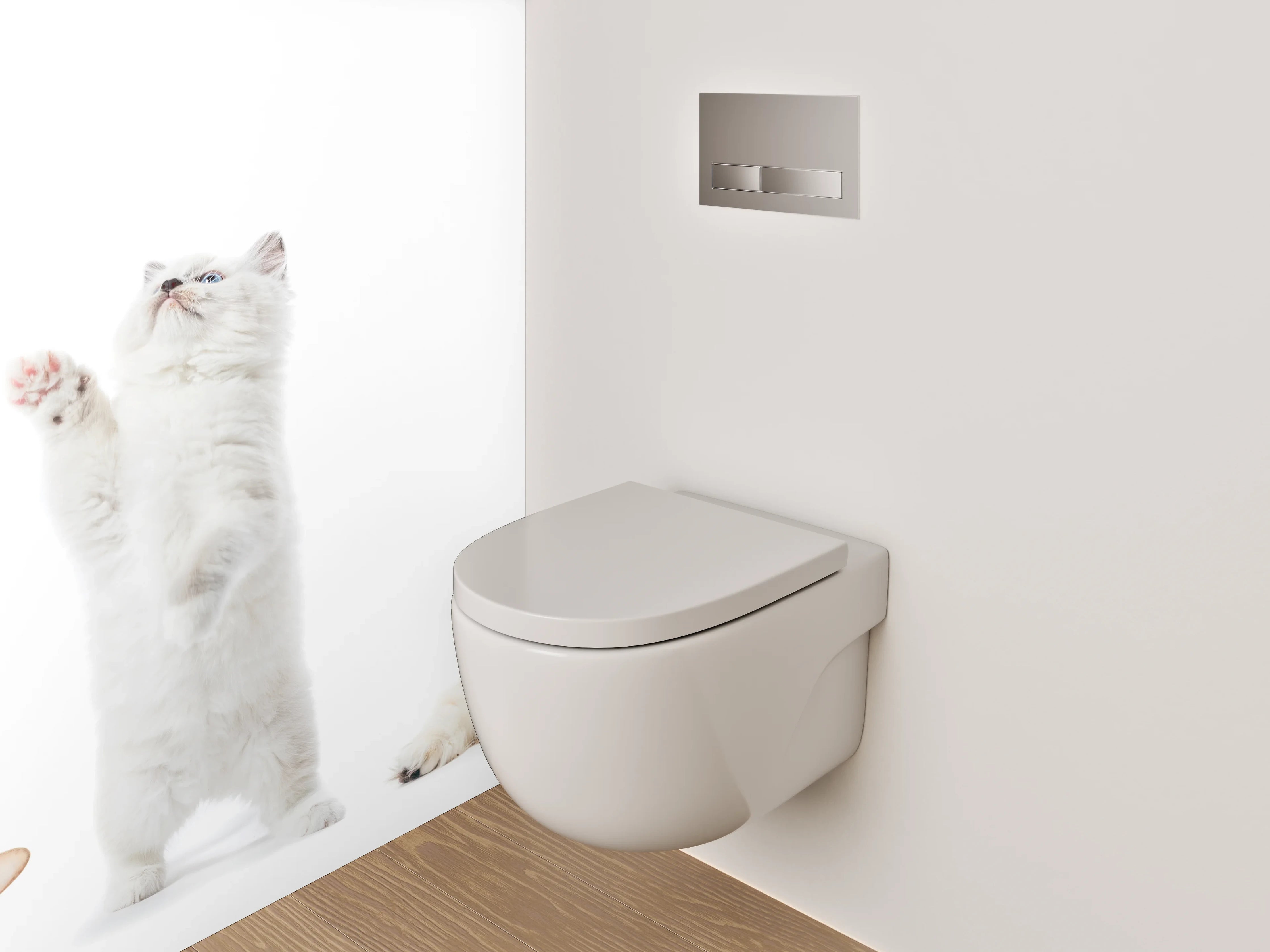 WC-Rückwand - Katzenparade auf weißem Hintergrund