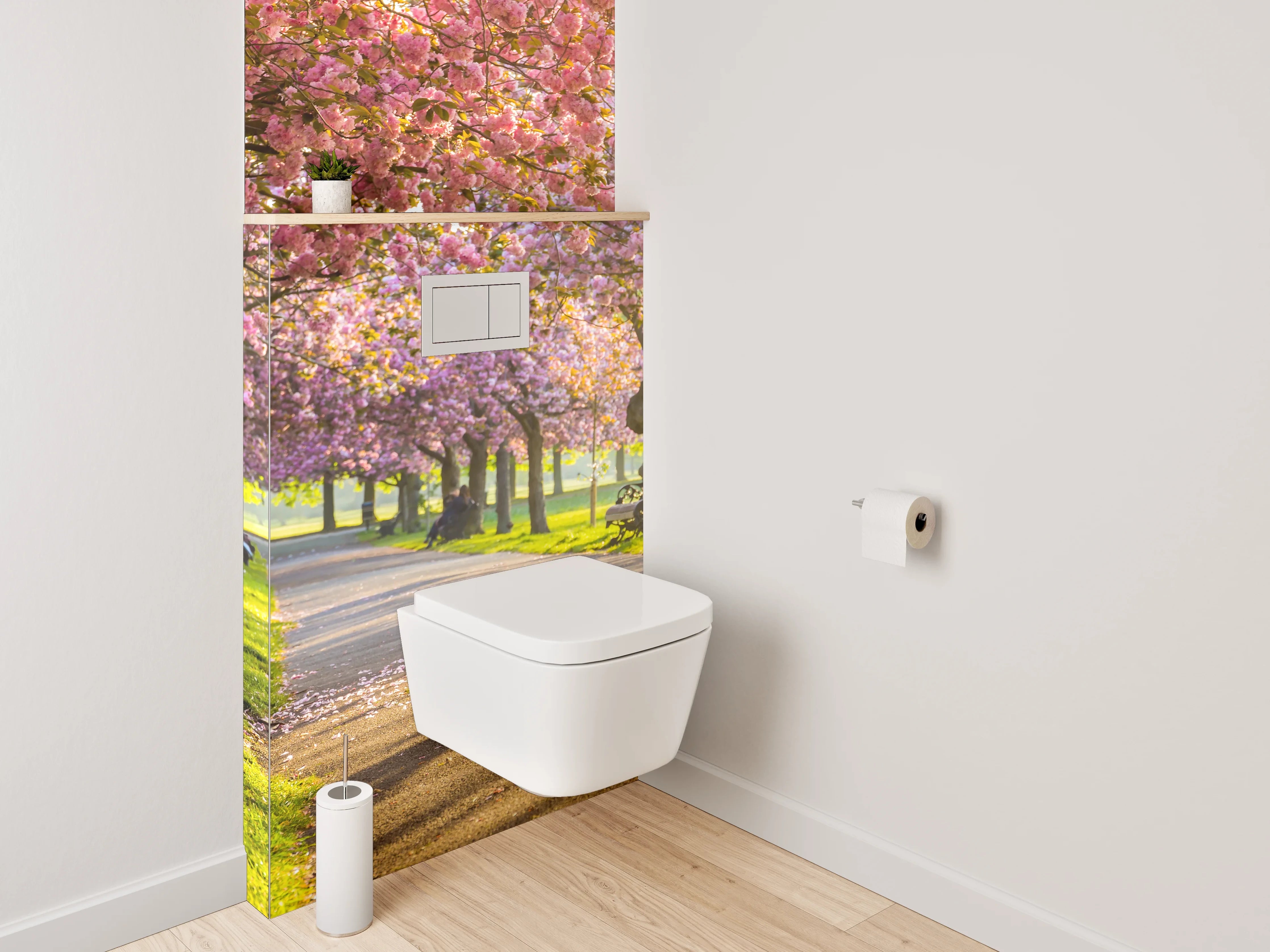 WC-Rückwand - Kirschblüten Allee im Sonnenlicht