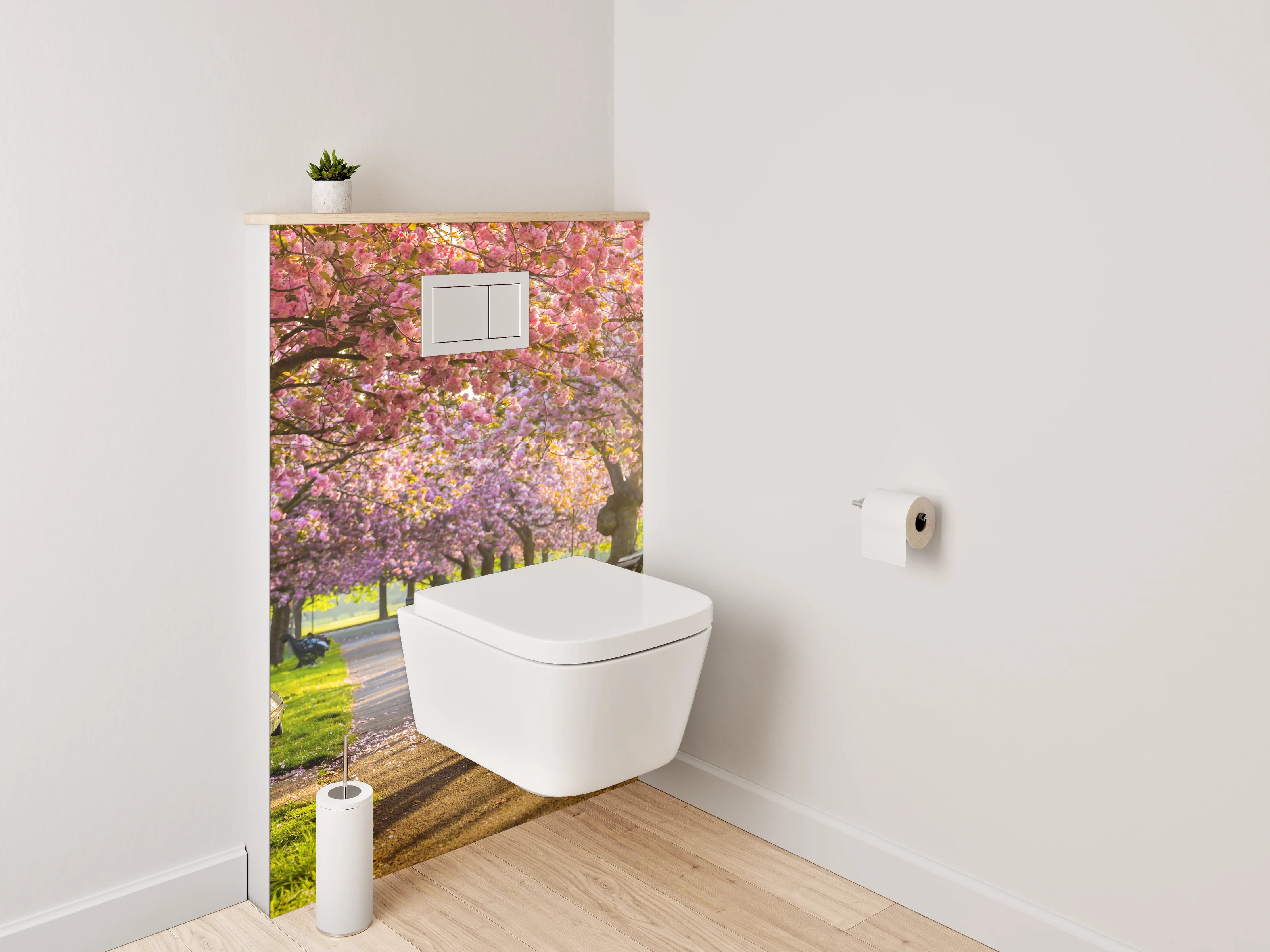 WC-Rückwand - Kirschblüten Allee im Sonnenlicht
