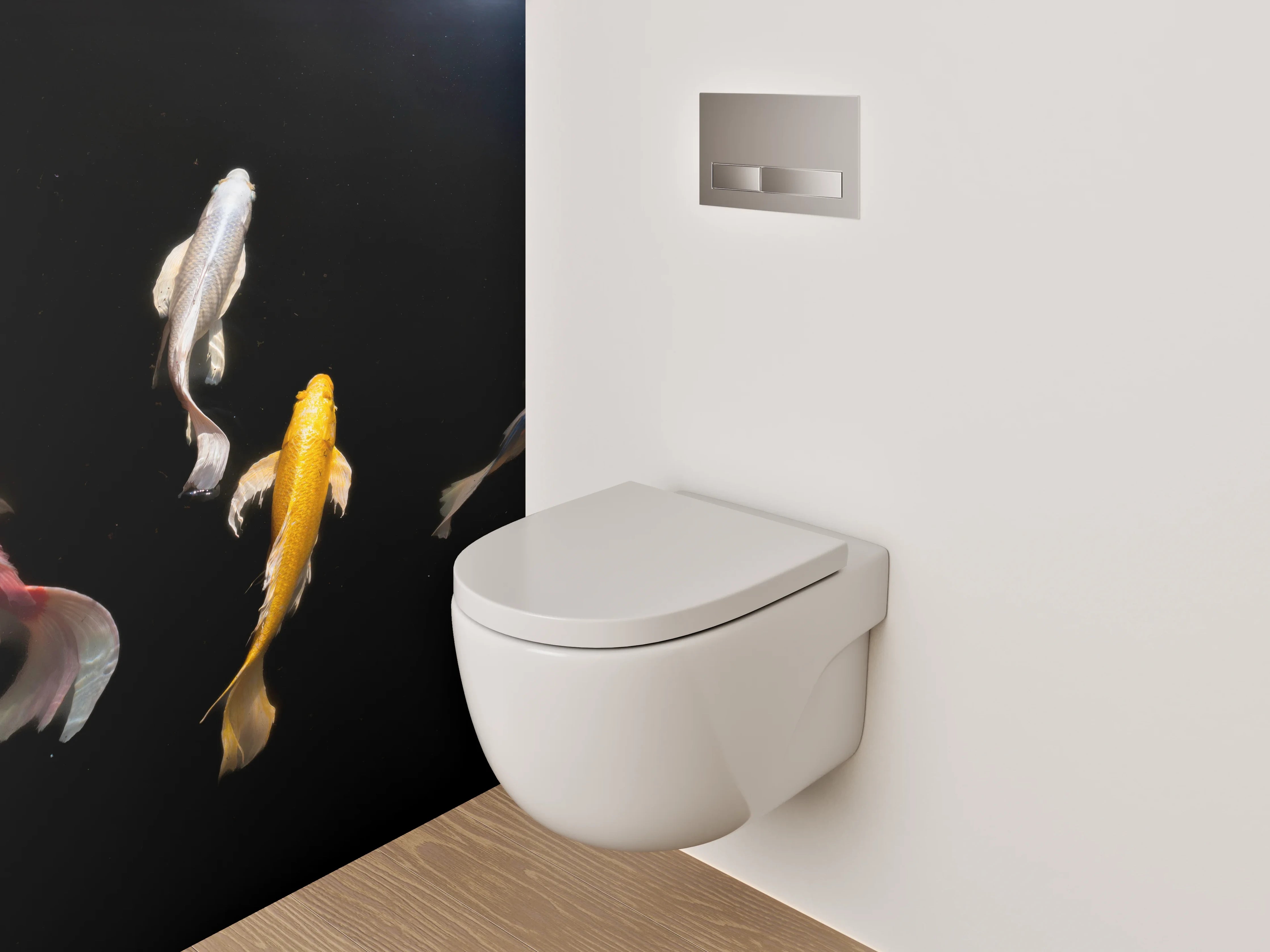 WC-Rückwand - Koi-Karpfen auf schwarzem Hintergrund