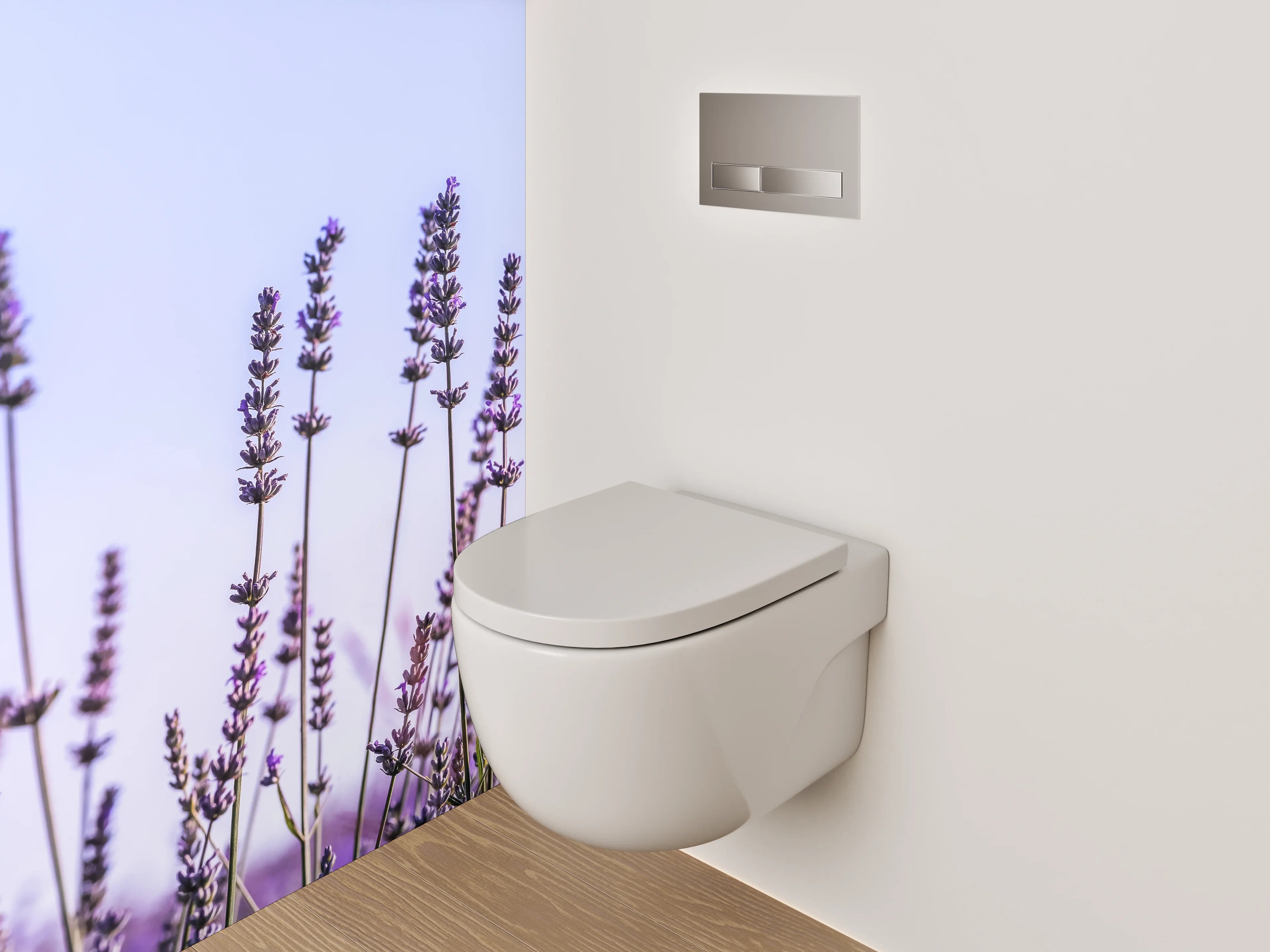 WC-Rückwand - Lavendel-Feld im Morgenlicht