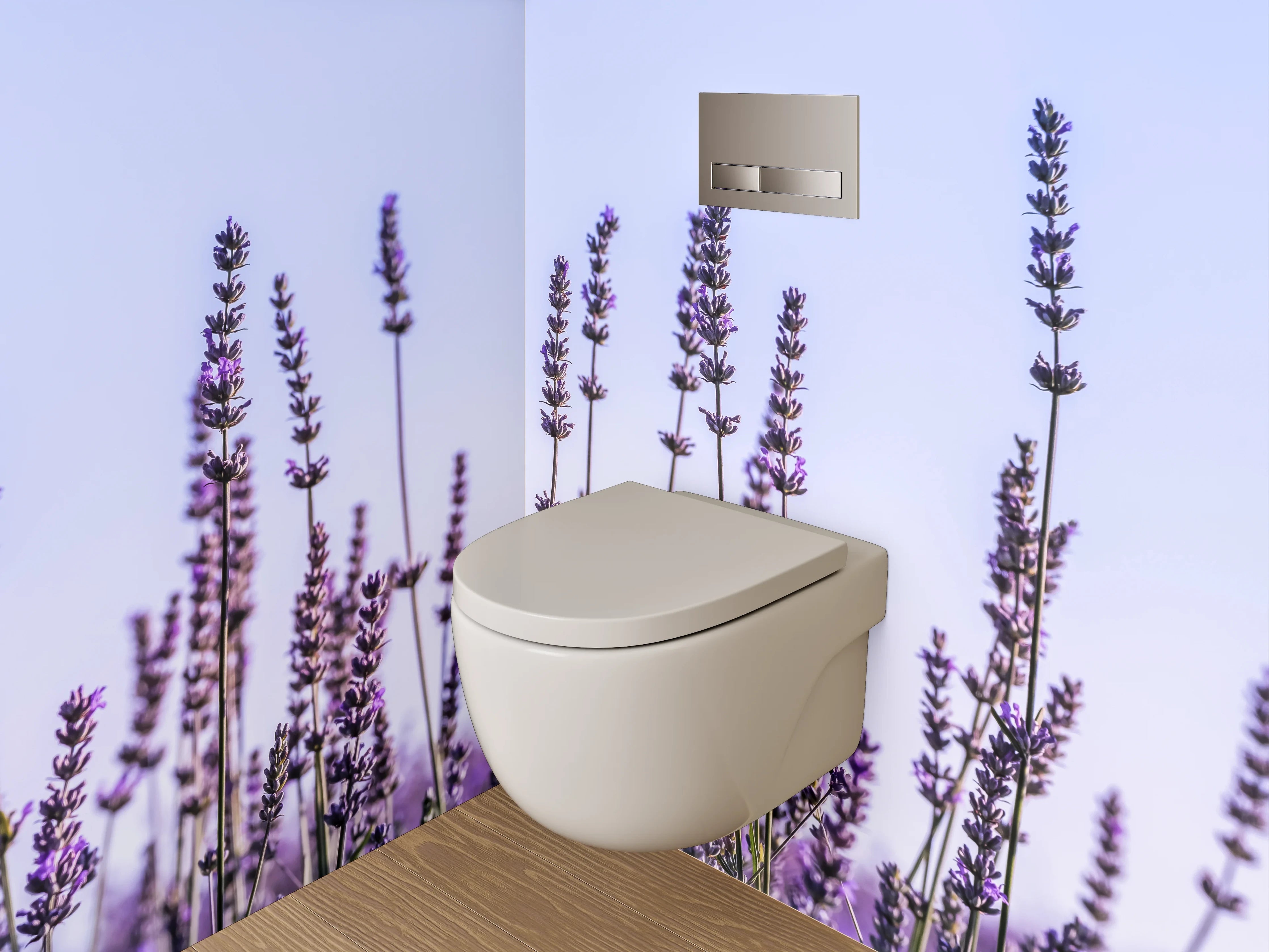 WC-Rückwand - Lavendel-Feld im Morgenlicht
