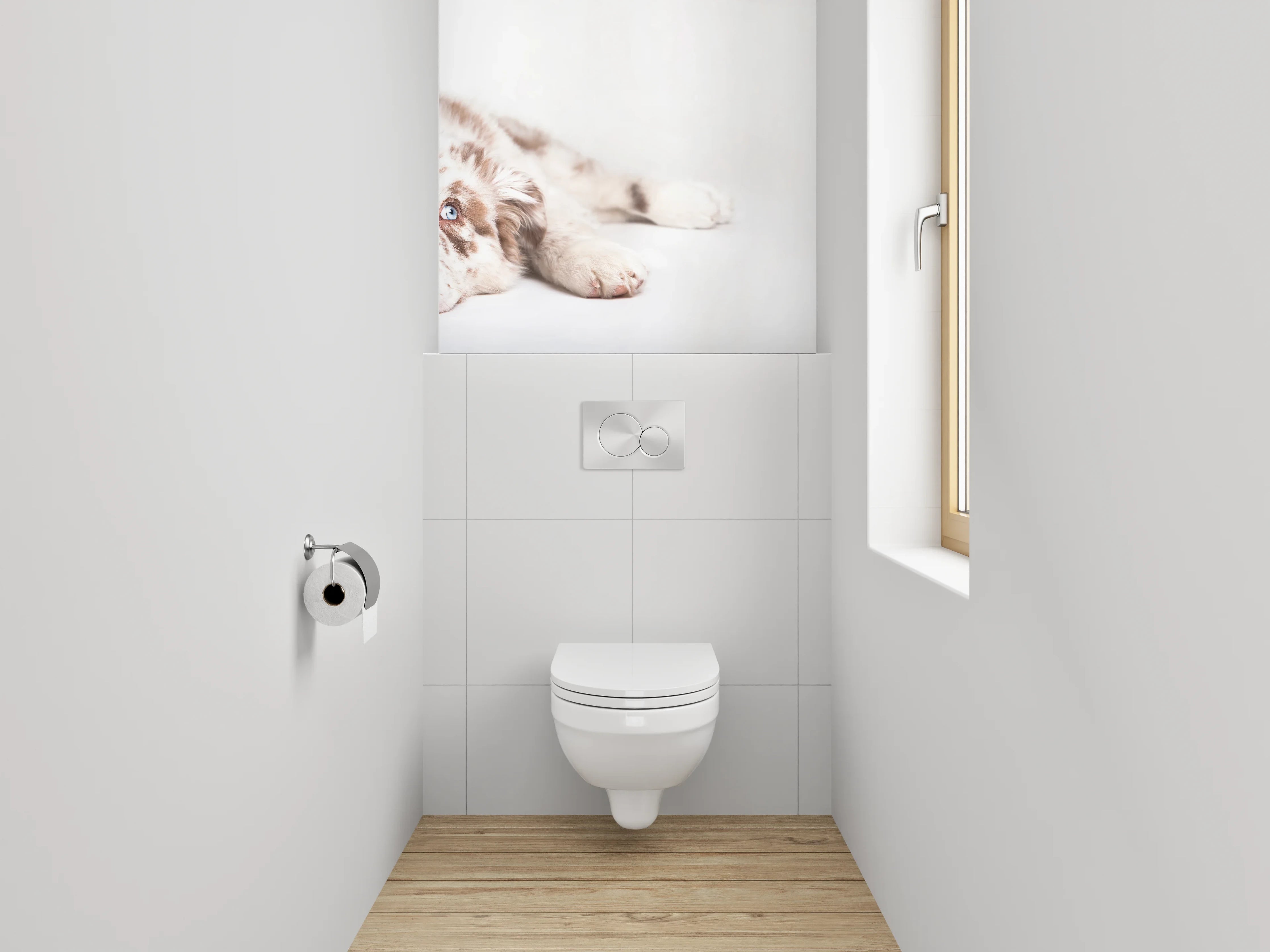 WC-Rückwand - Liegender Hund mit blauen Augen
