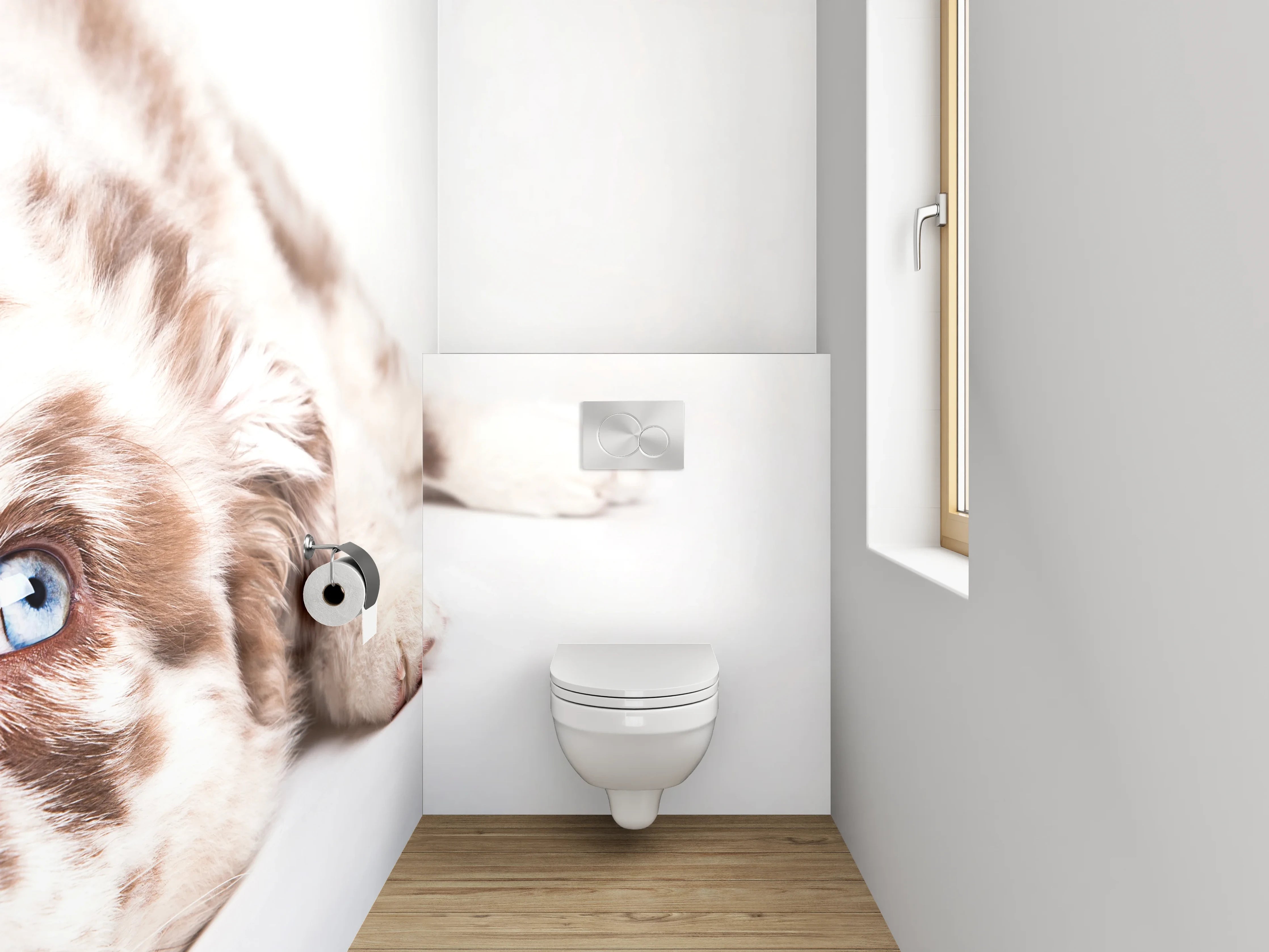 WC-Rückwand - Liegender Hund mit blauen Augen