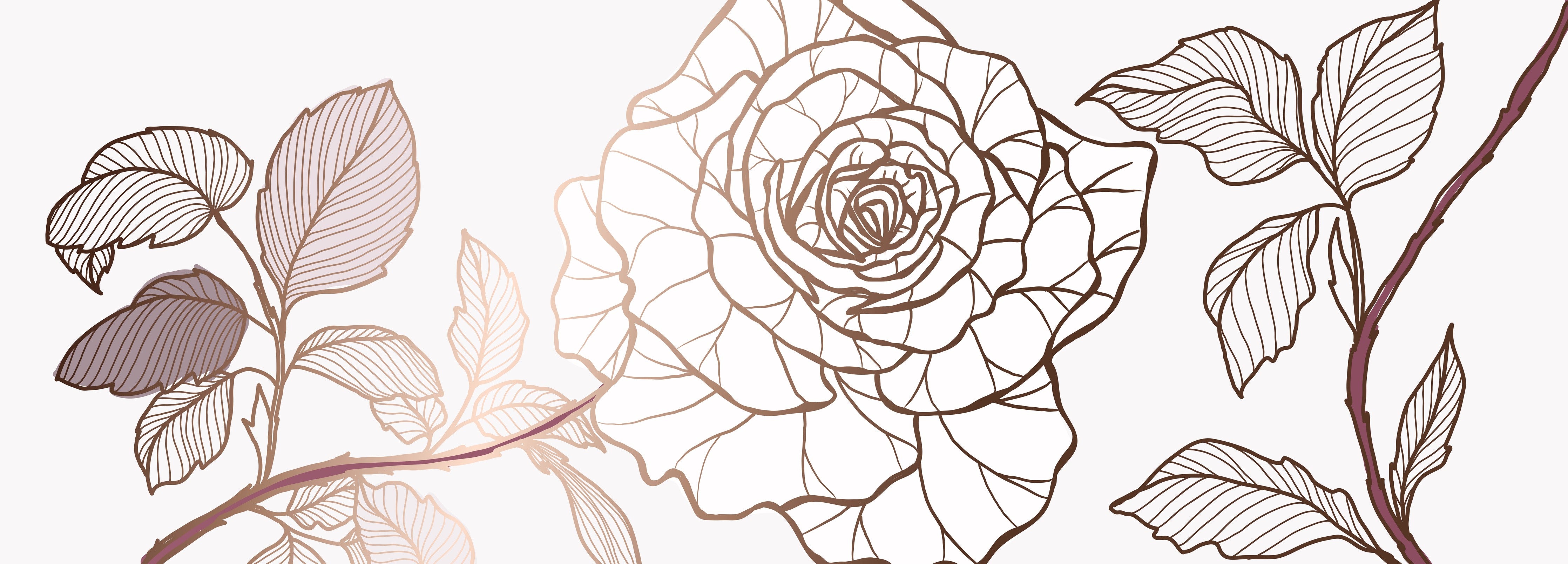 WC-Rückwand-Lineart Rosen auf Weiß – Blumenmotiv