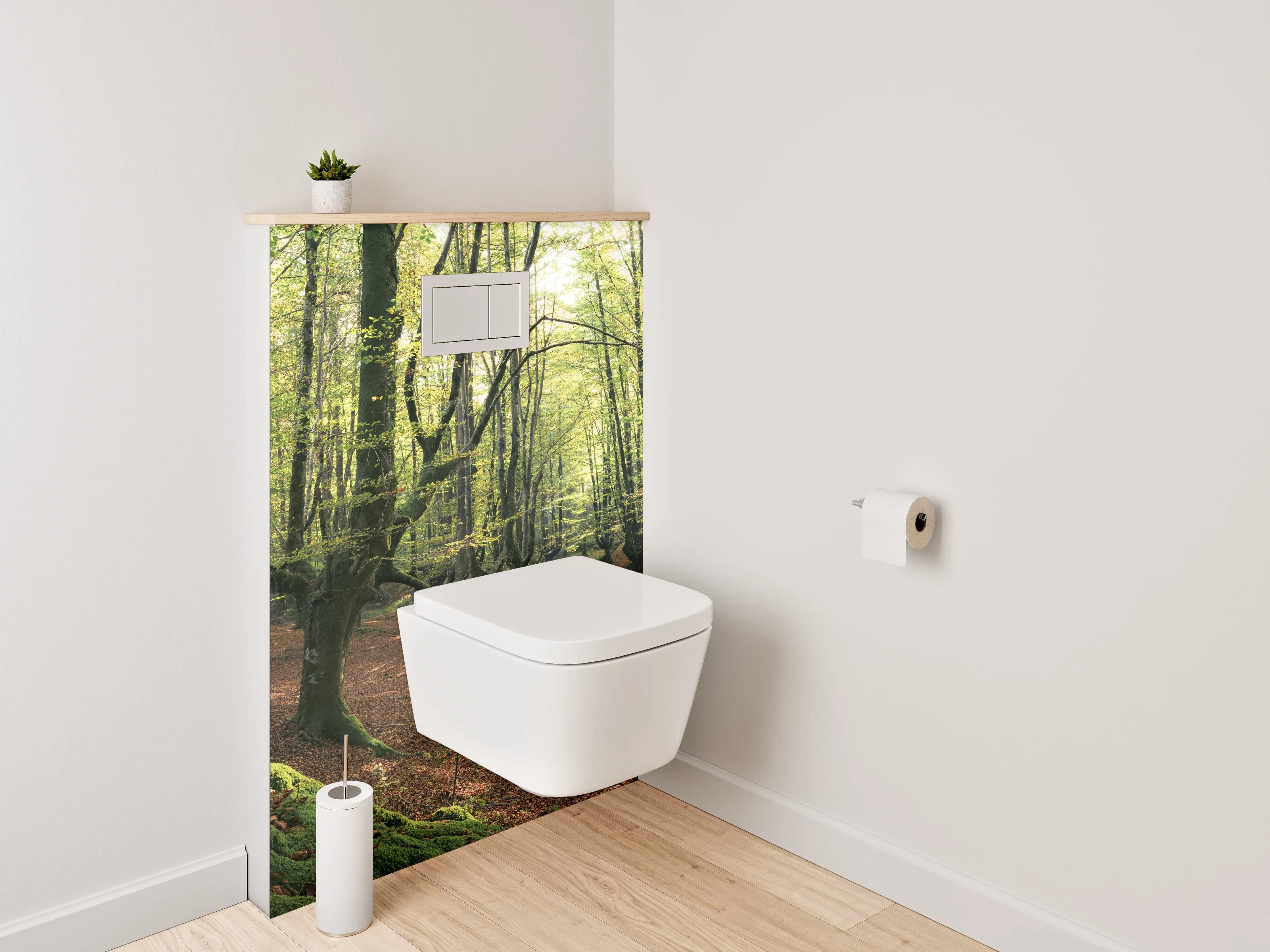 WC-Rückwand - Märchenhafter Frühlingswald Sonnenlicht