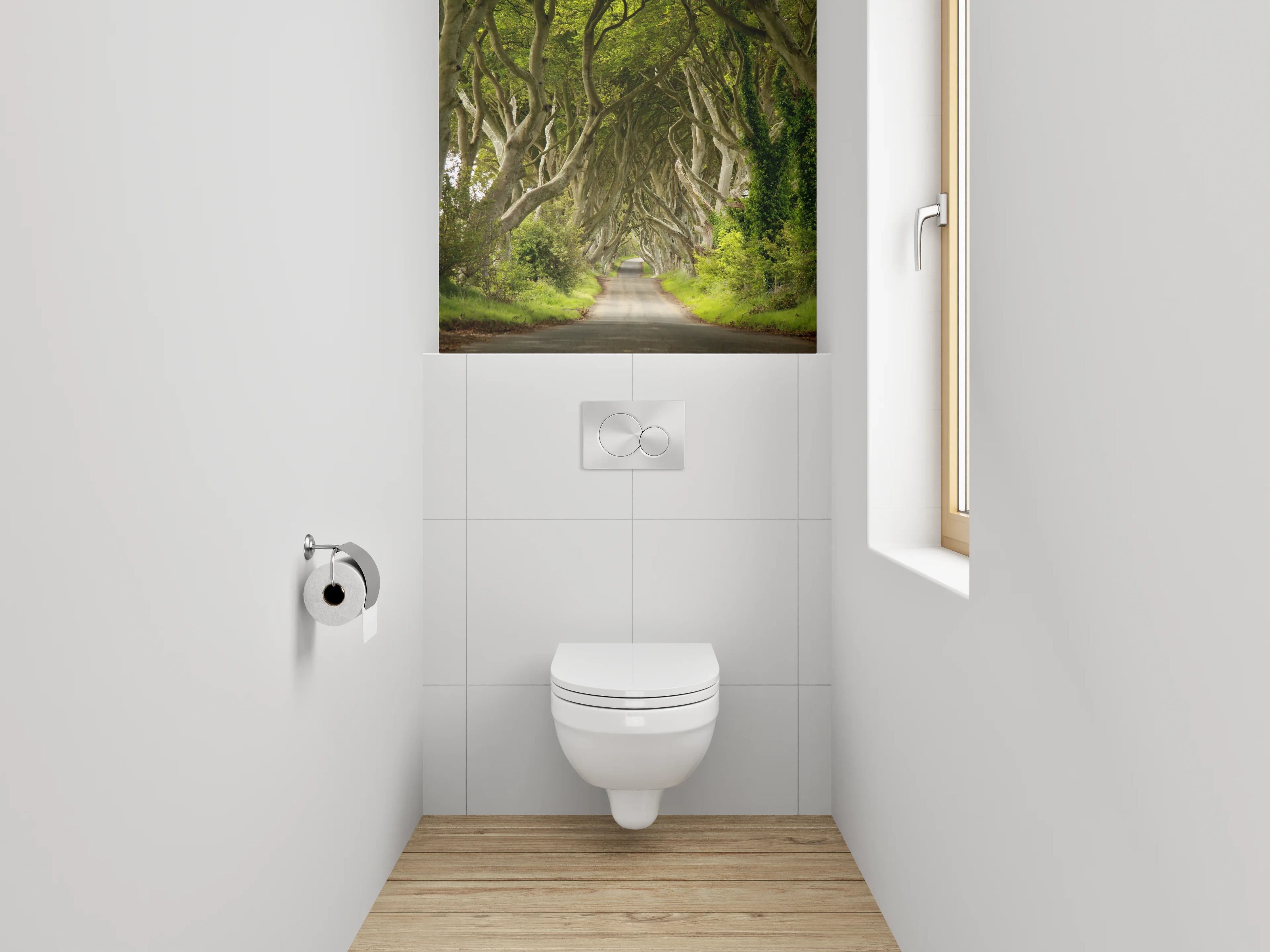 WC-Rückwand - Magische Allee im Buchenwald