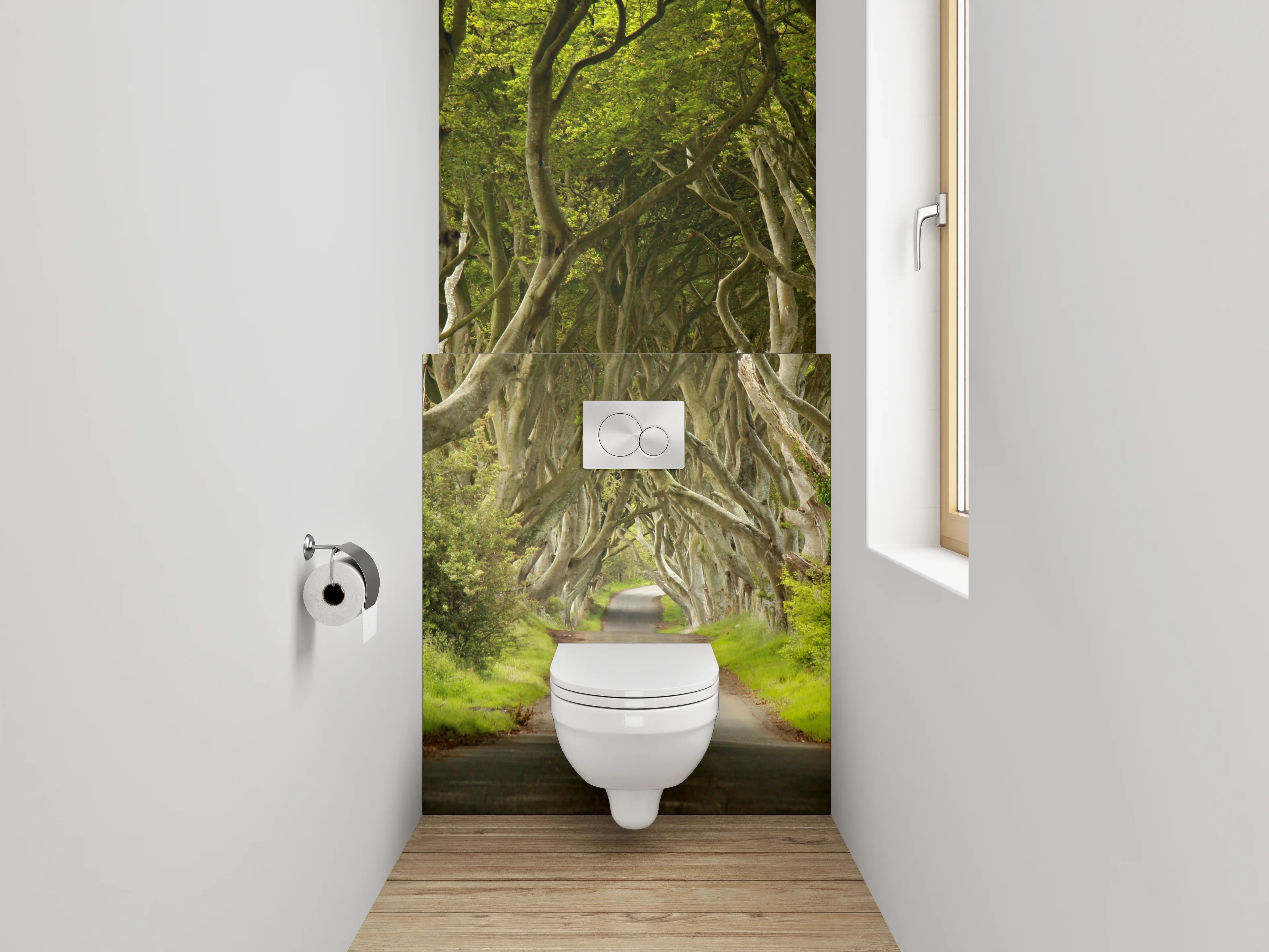 WC-Rückwand - Magische Allee im Buchenwald