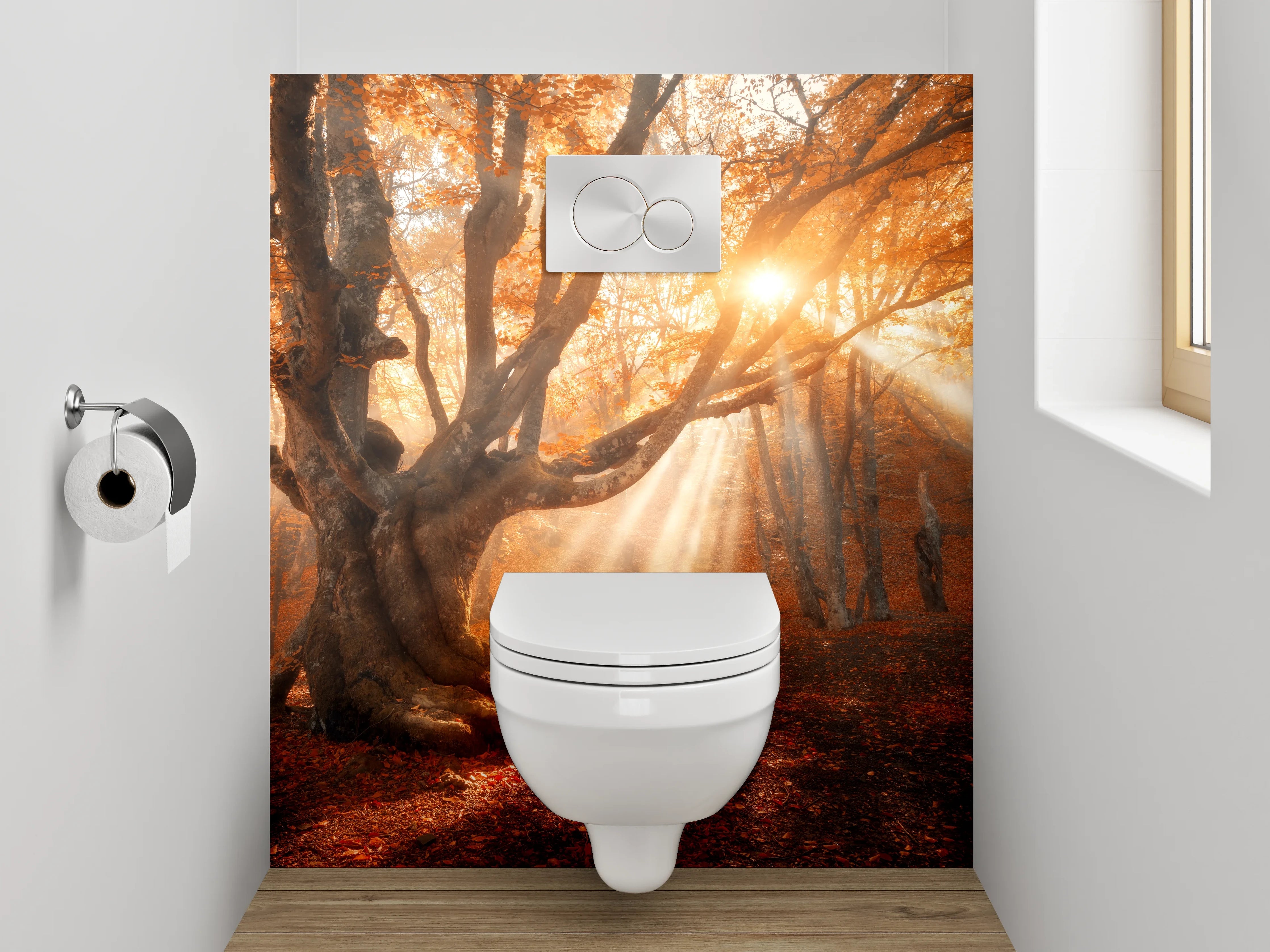 WC-Rückwand - Magischer Sonnenstrahl im Herbstwald