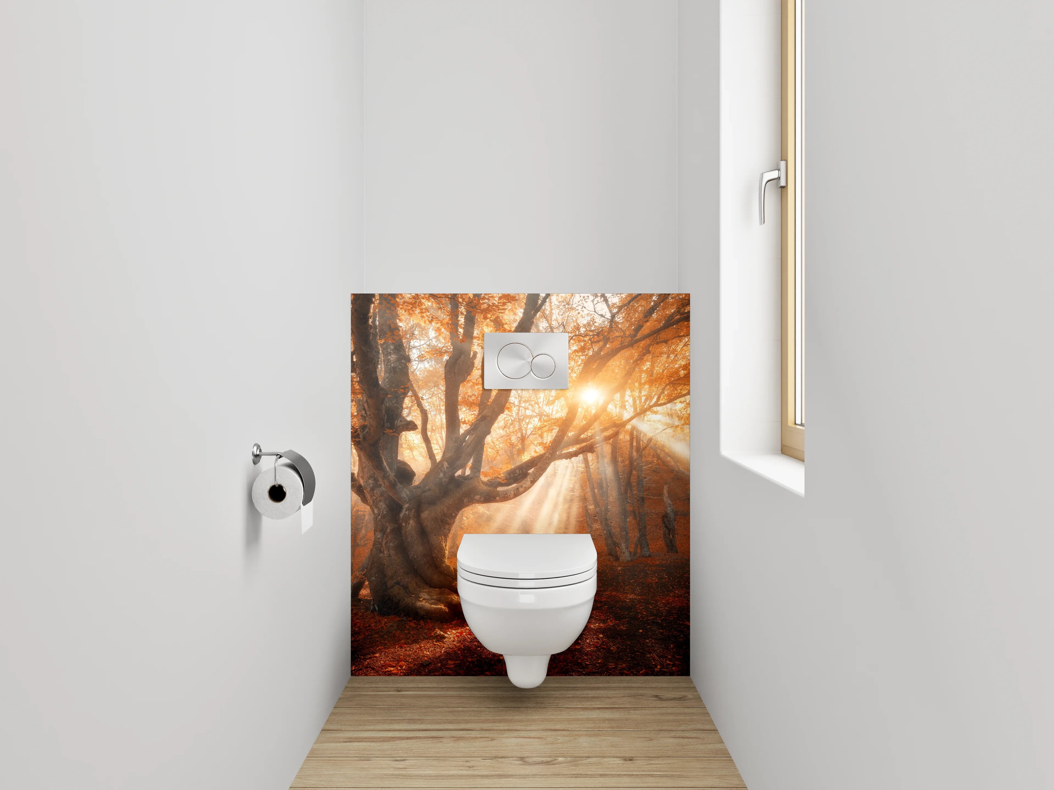 WC-Rückwand - Magischer Sonnenstrahl im Herbstwald