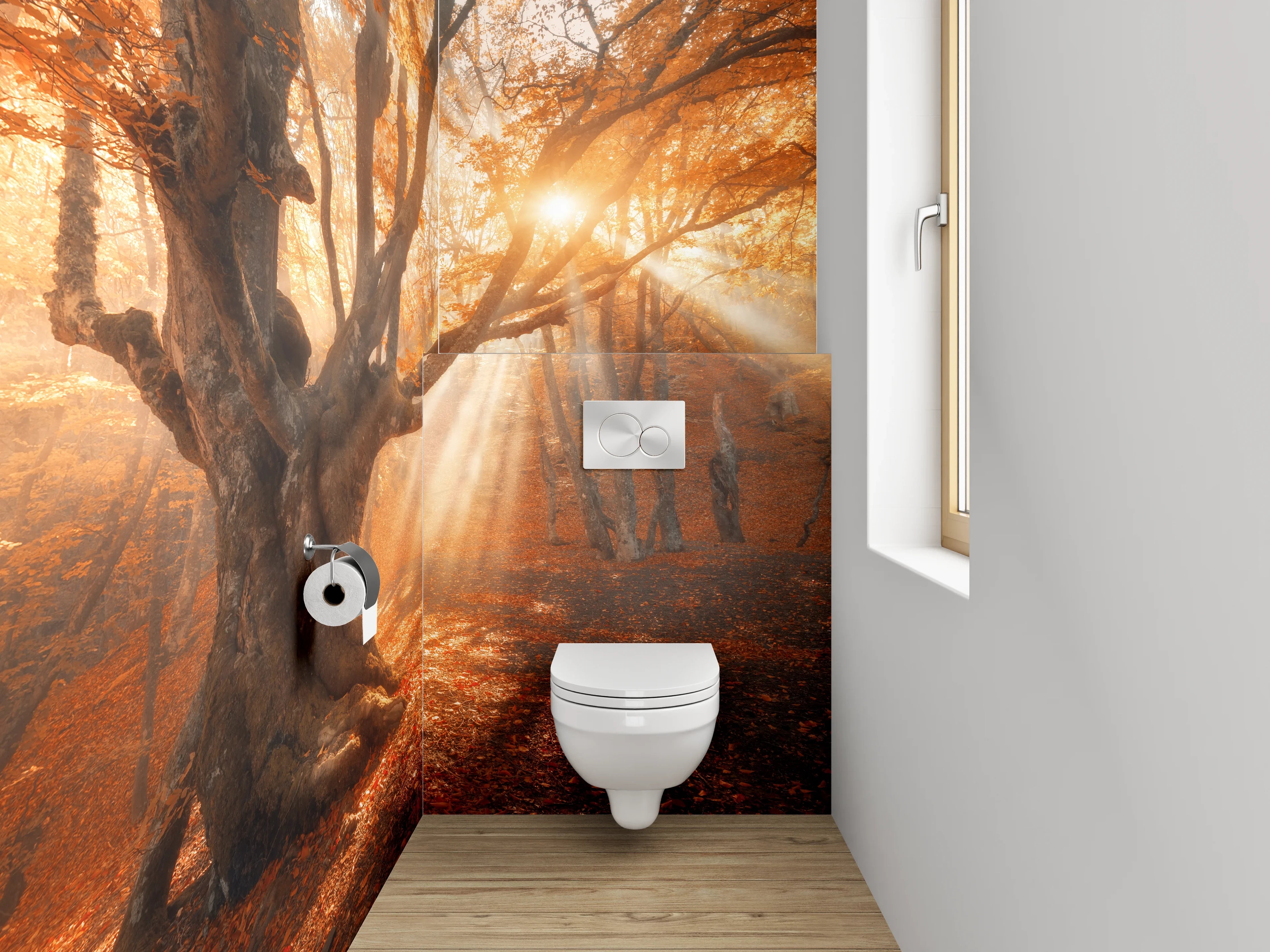 WC-Rückwand - Magischer Sonnenstrahl im Herbstwald