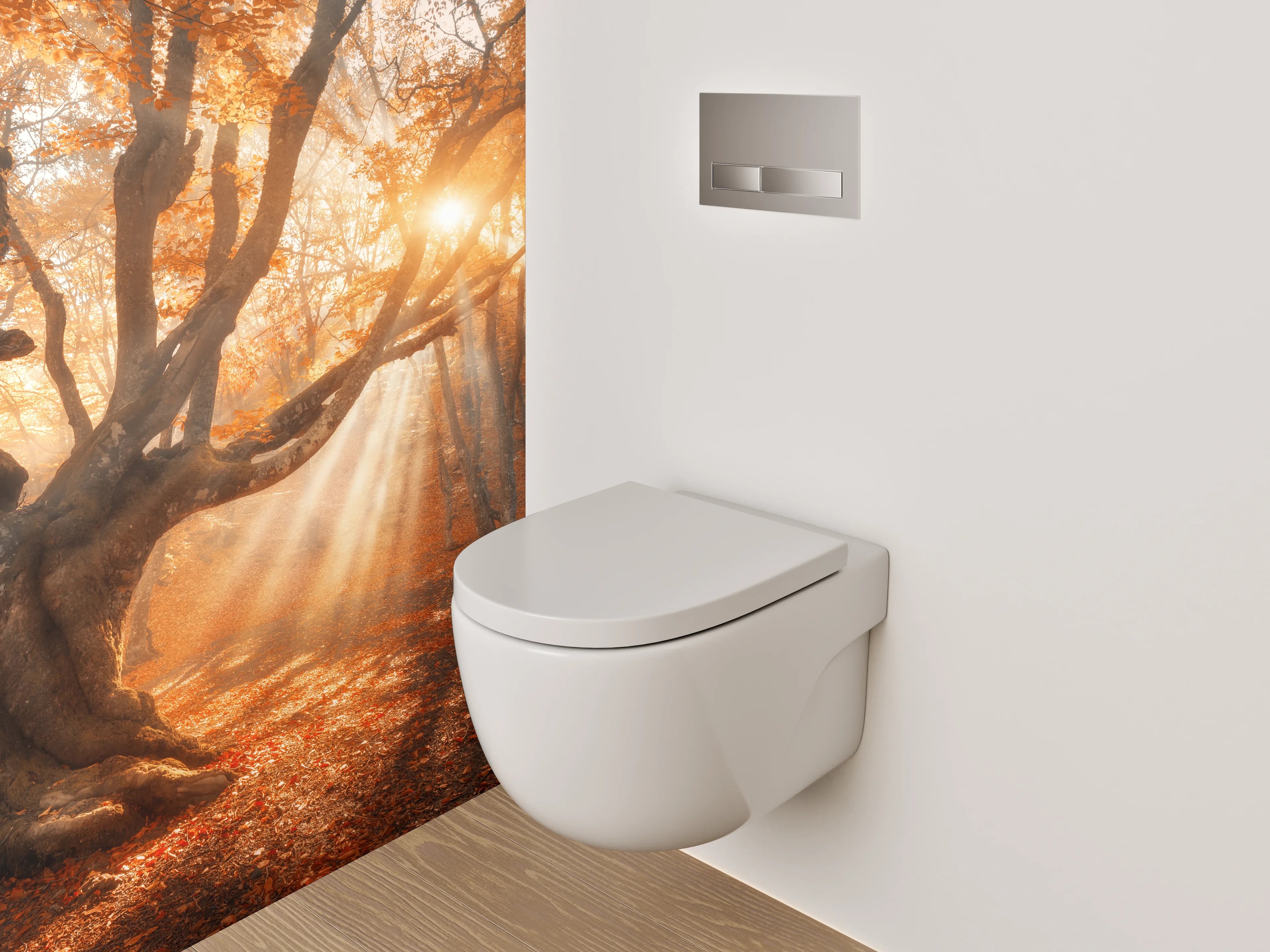 WC-Rückwand - Magischer Sonnenstrahl im Herbstwald