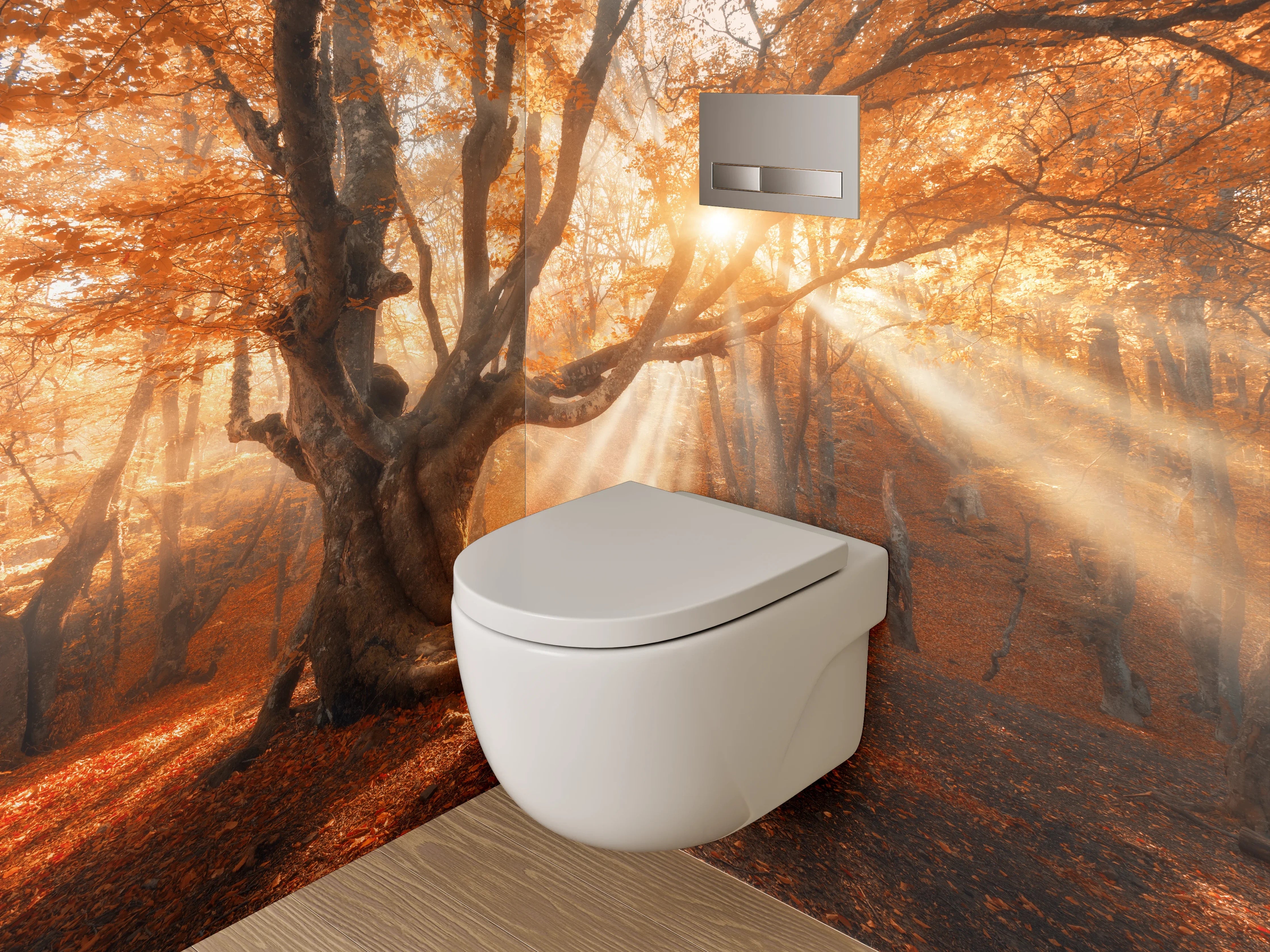 WC-Rückwand - Magischer Sonnenstrahl im Herbstwald