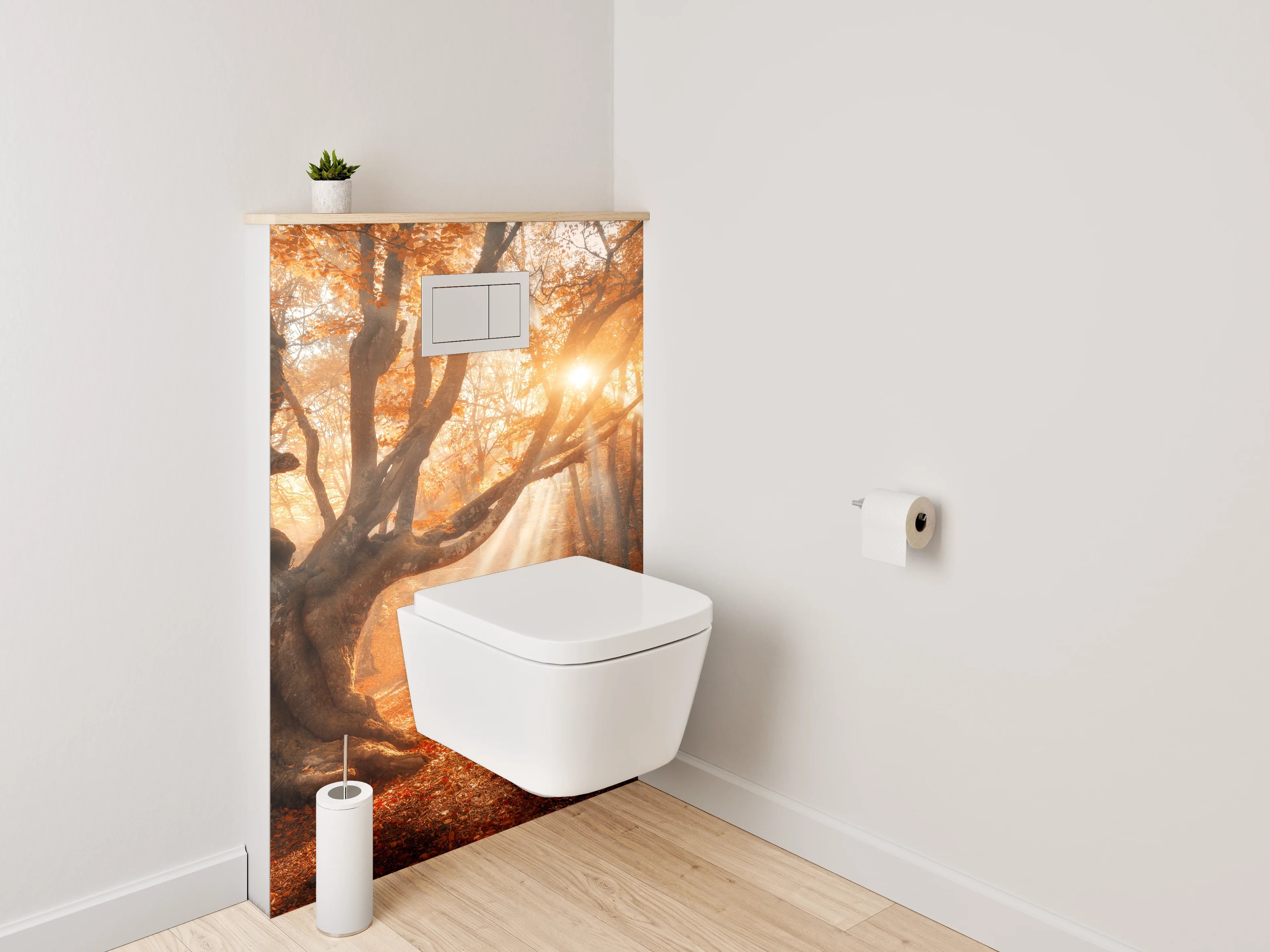 WC-Rückwand - Magischer Sonnenstrahl im Herbstwald