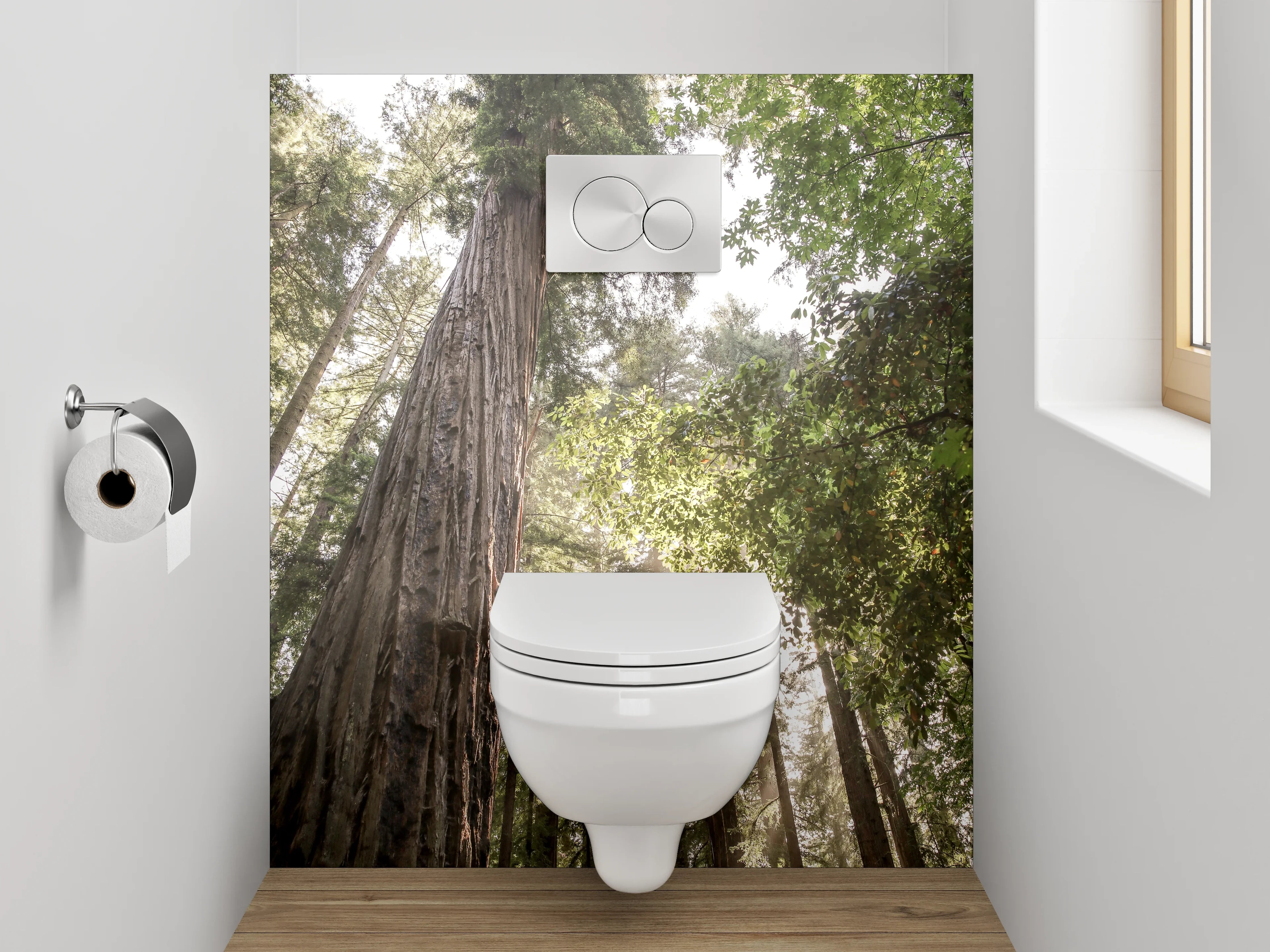 WC-Rückwand - Majestätische Redwoods im Sonnenlicht