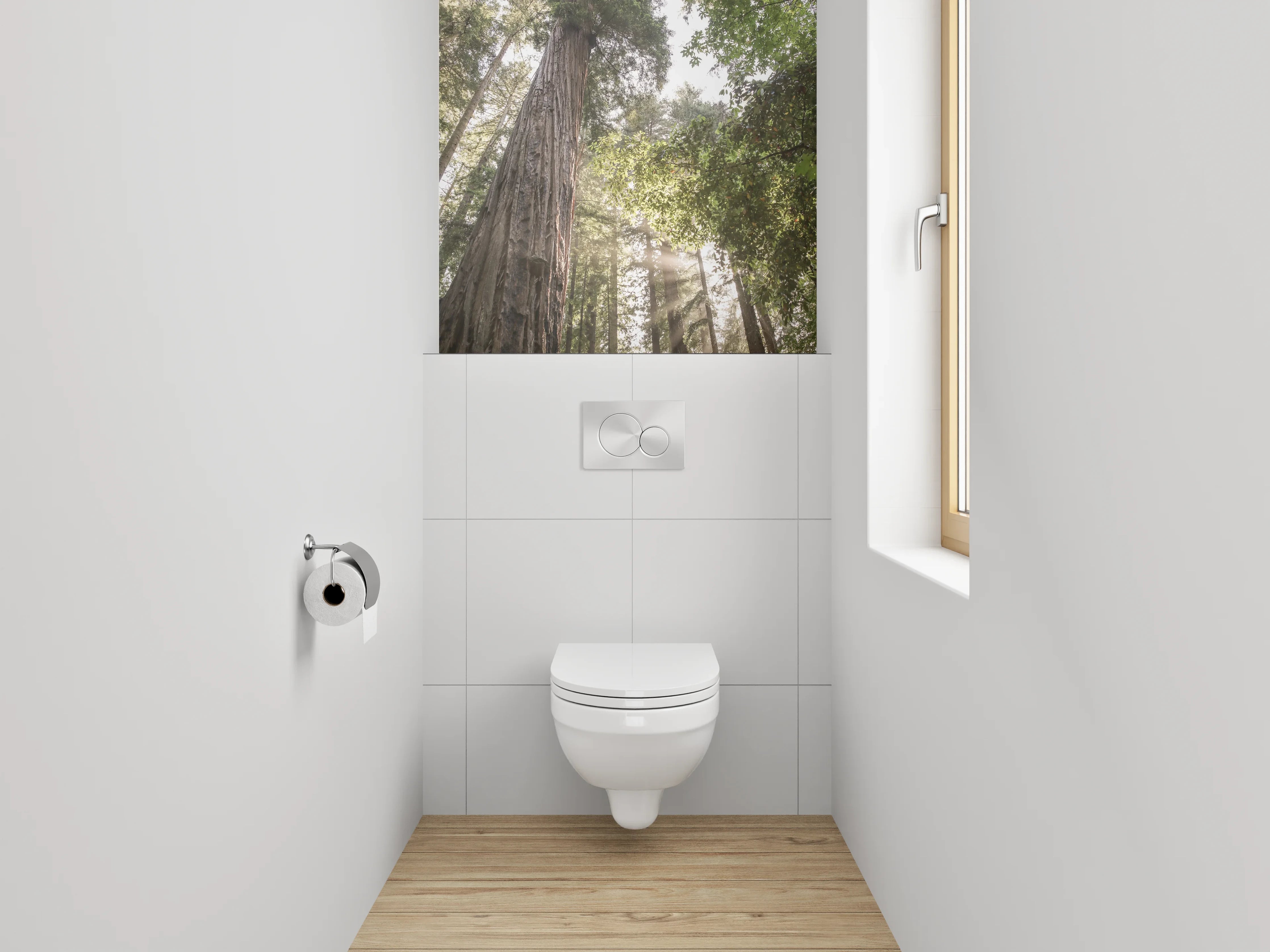 WC-Rückwand - Majestätische Redwoods im Sonnenlicht