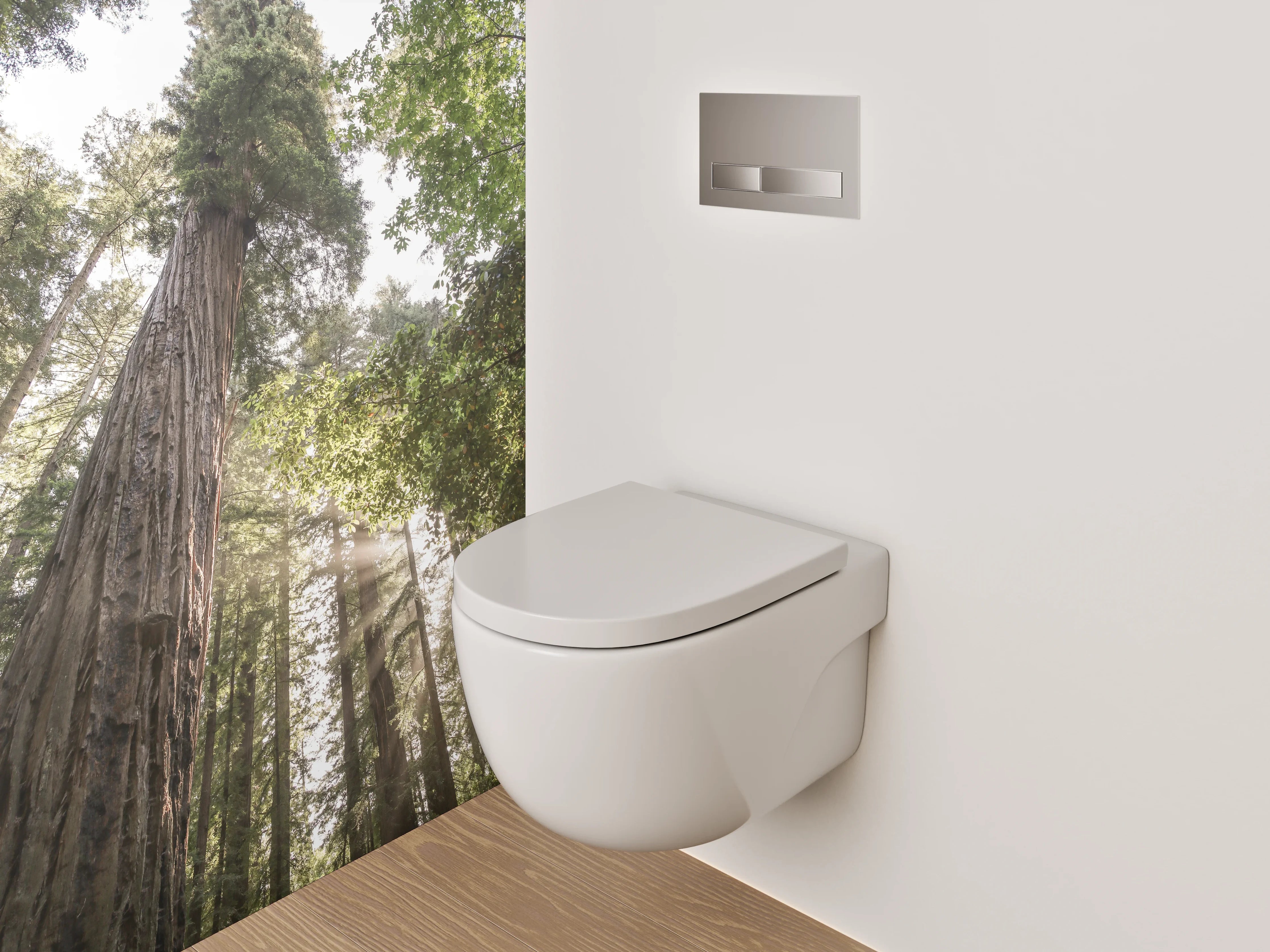 WC-Rückwand - Majestätische Redwoods im Sonnenlicht