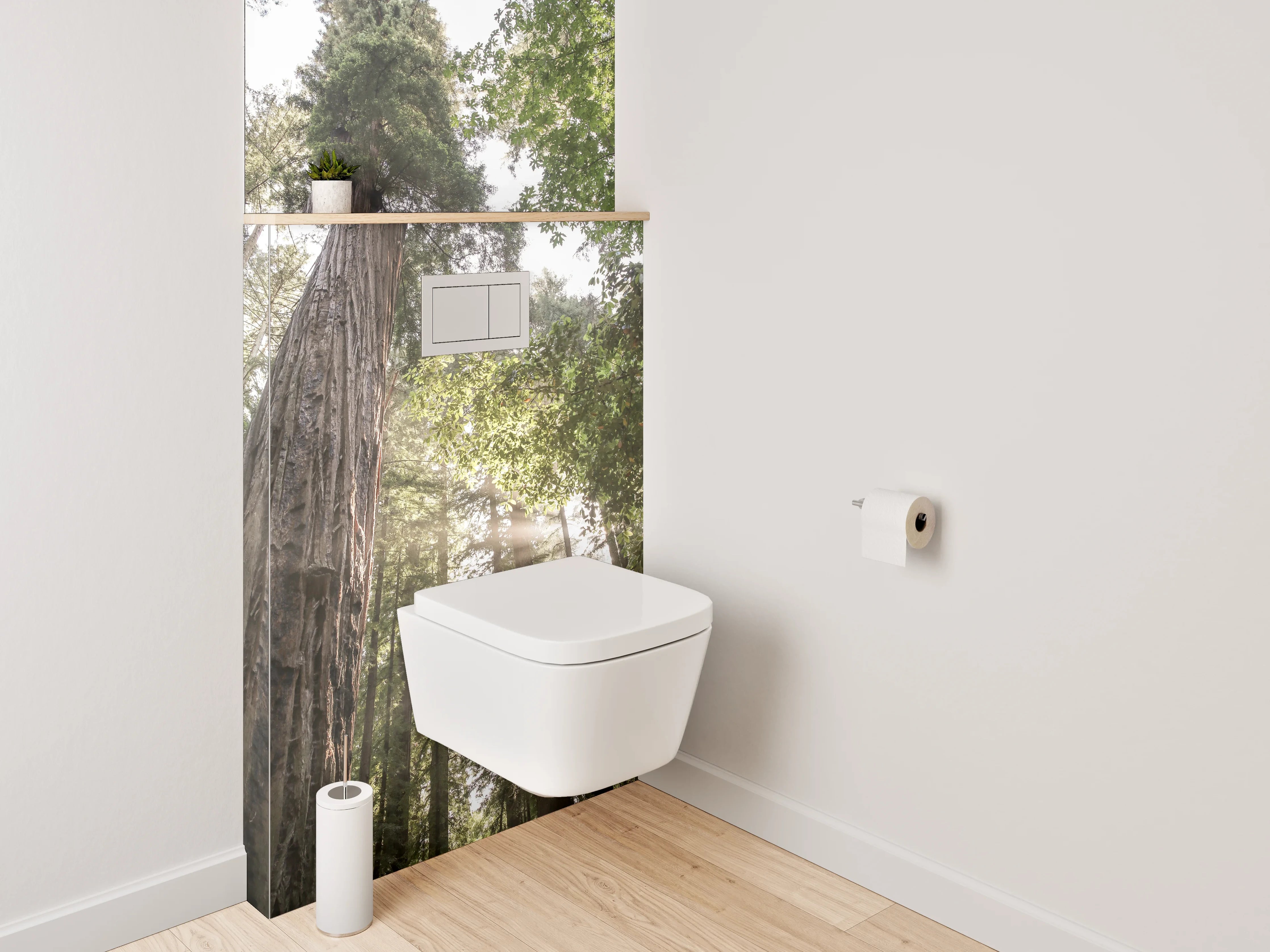 WC-Rückwand - Majestätische Redwoods im Sonnenlicht