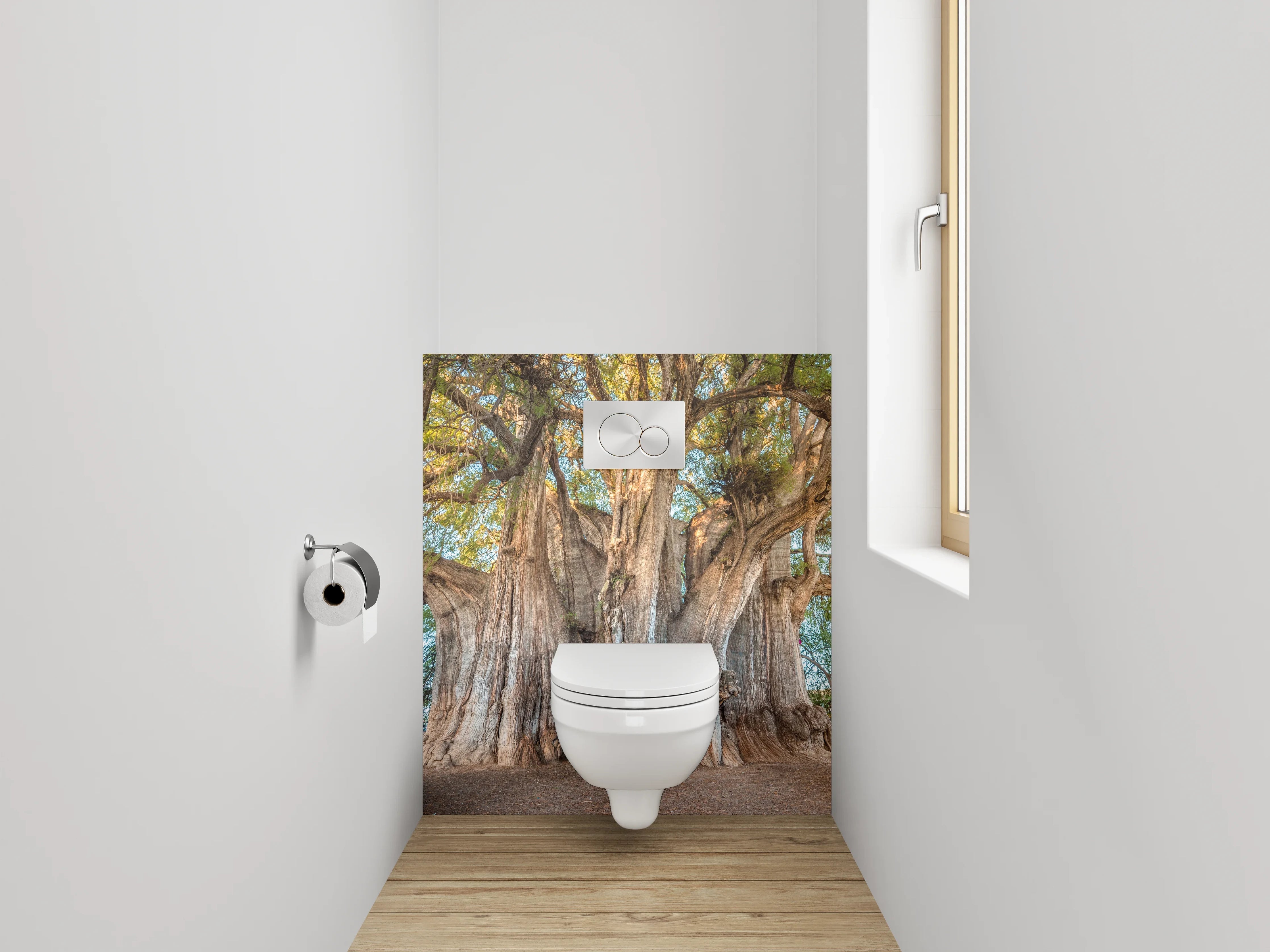 WC-Rückwand - Majestätischer Riesenbaum Naturfotografie