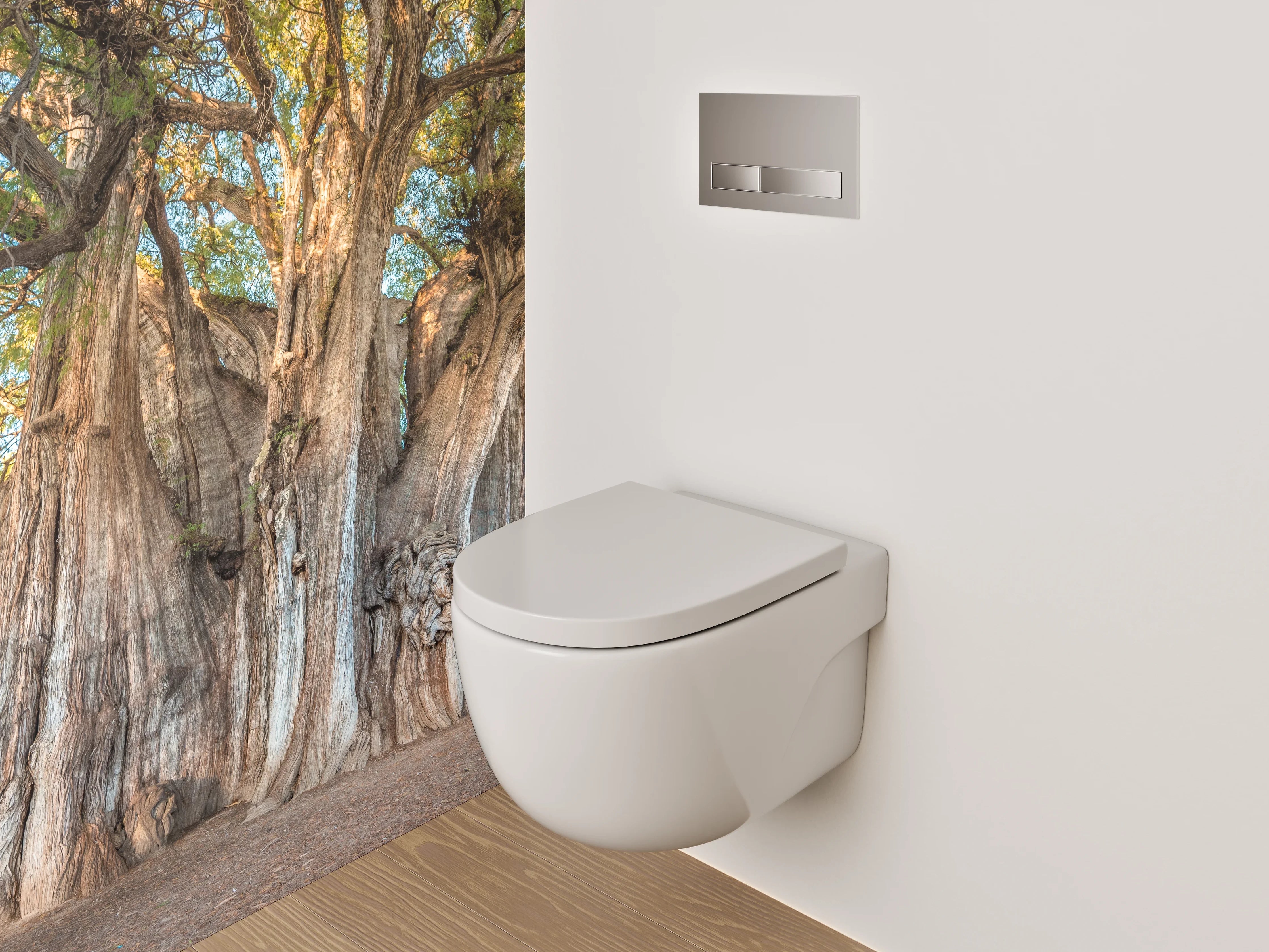 WC-Rückwand - Majestätischer Riesenbaum Naturfotografie