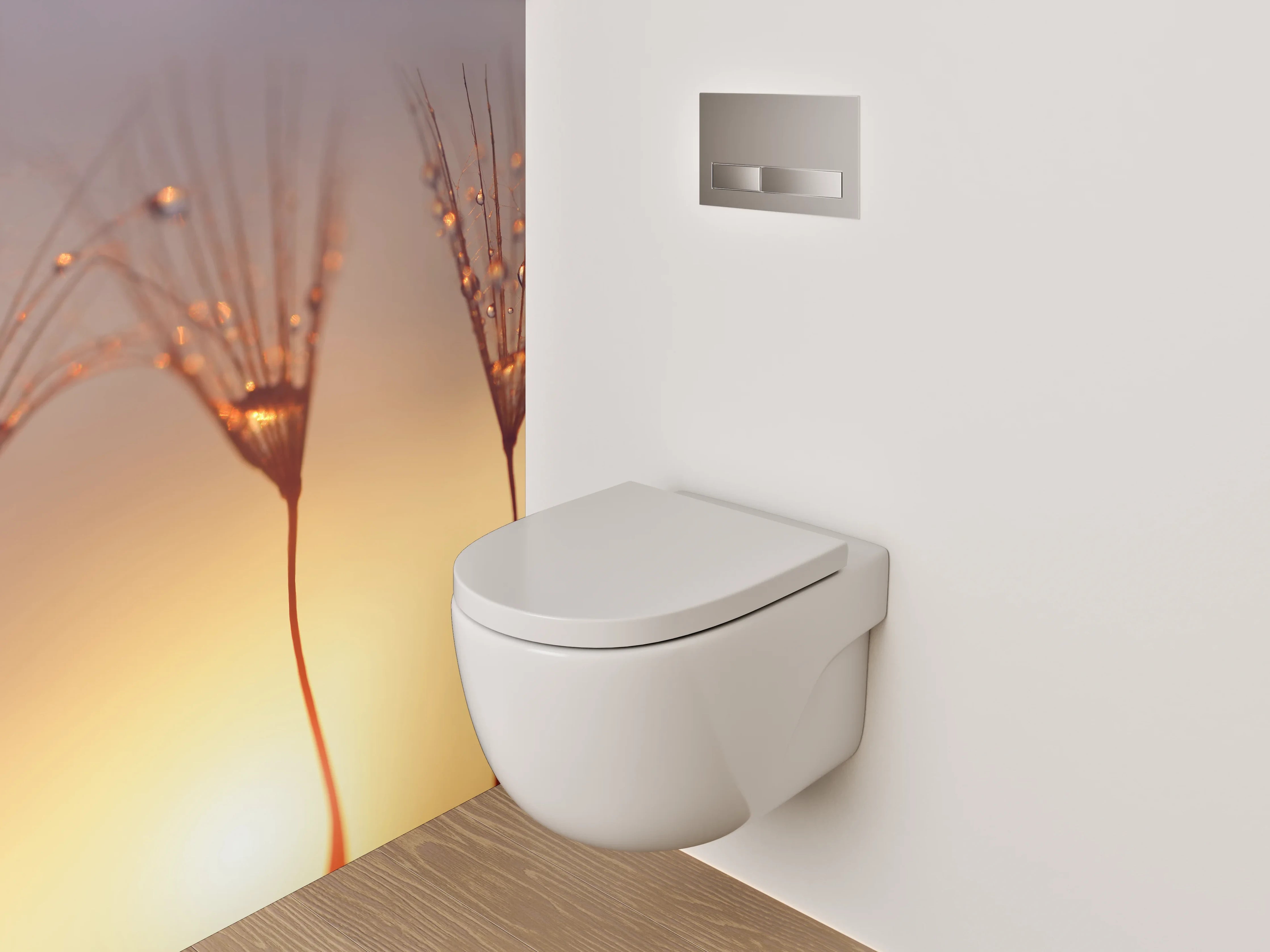 WC-Rückwand - Makro Sonnenaufgang Pusteblume Tropfen