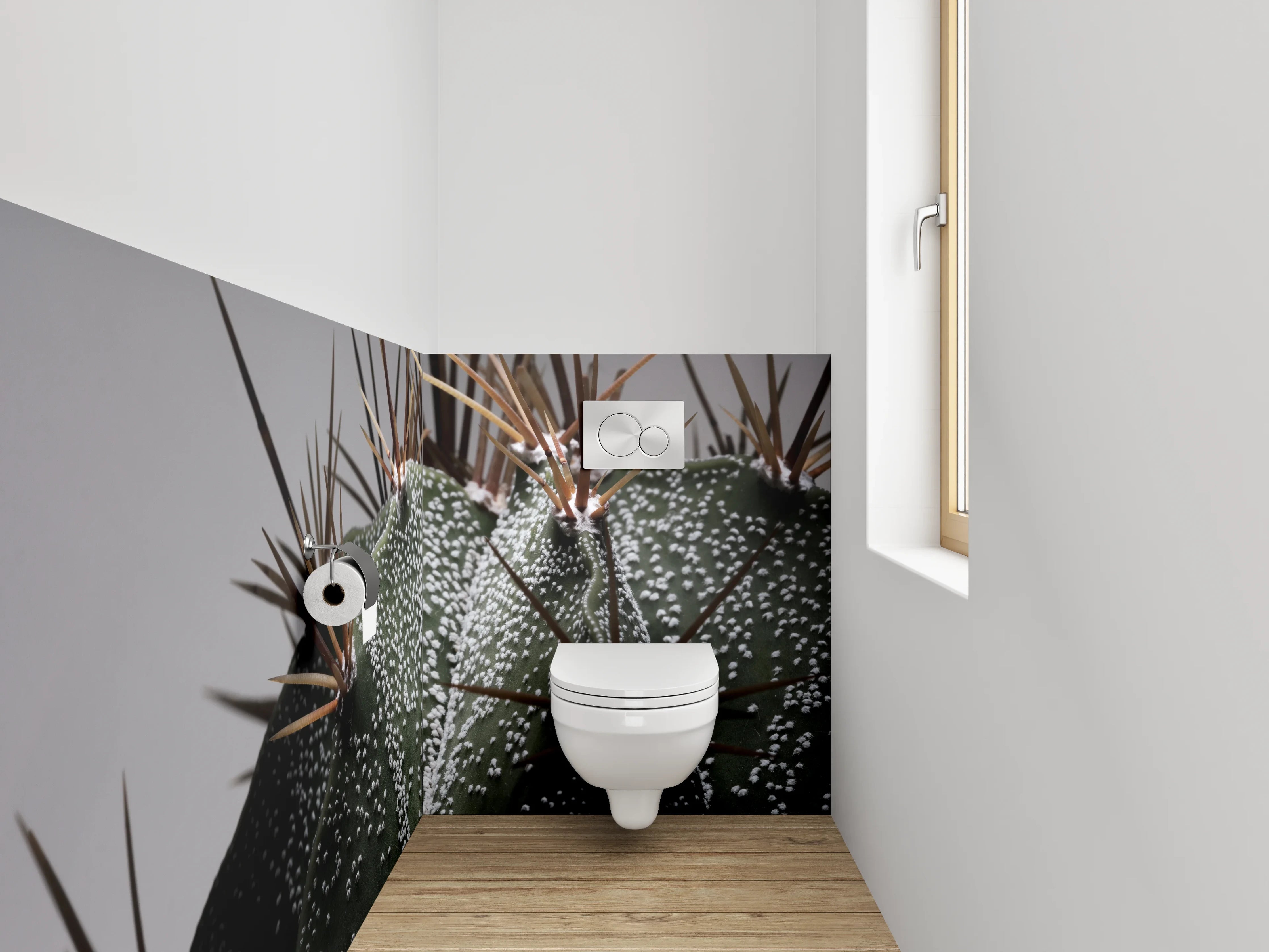 WC-Rückwand - Makroaufnahme Kaktus Details Stacheln