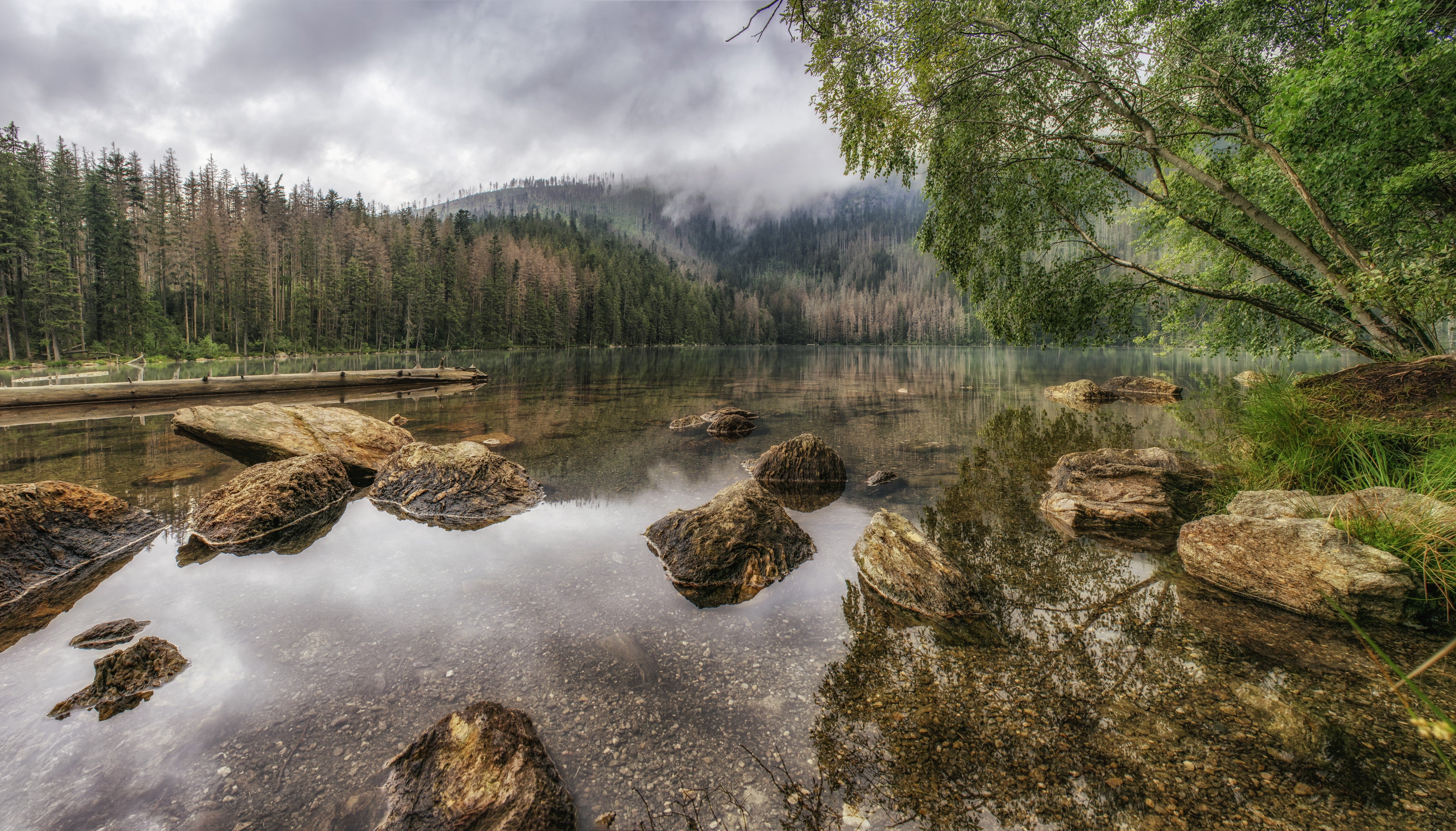 WC-Rückwand-Mystischer Bergsee im Morgennebel