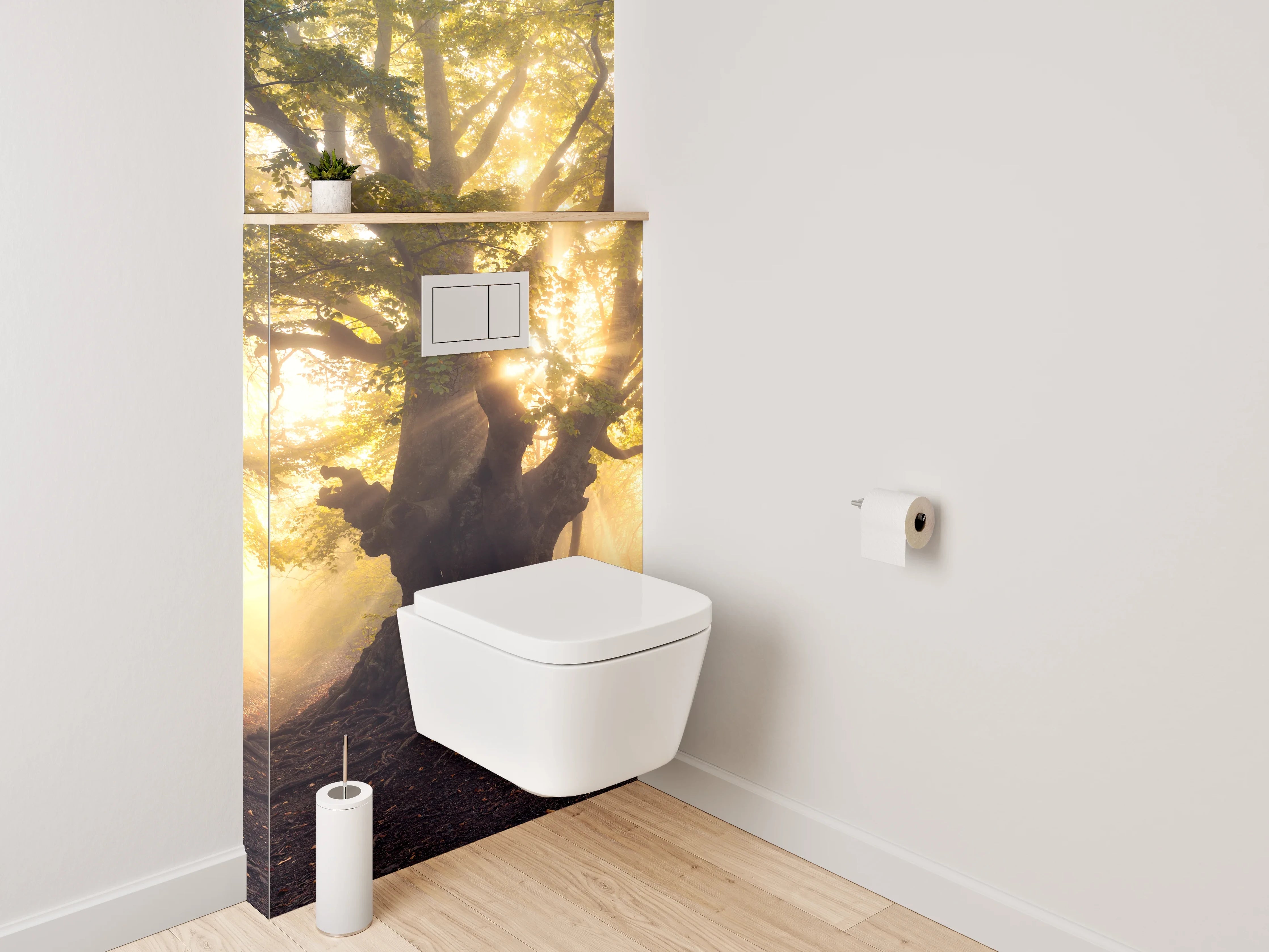 WC-Rückwand - Mystischer Sonnenwald – Morgenlicht