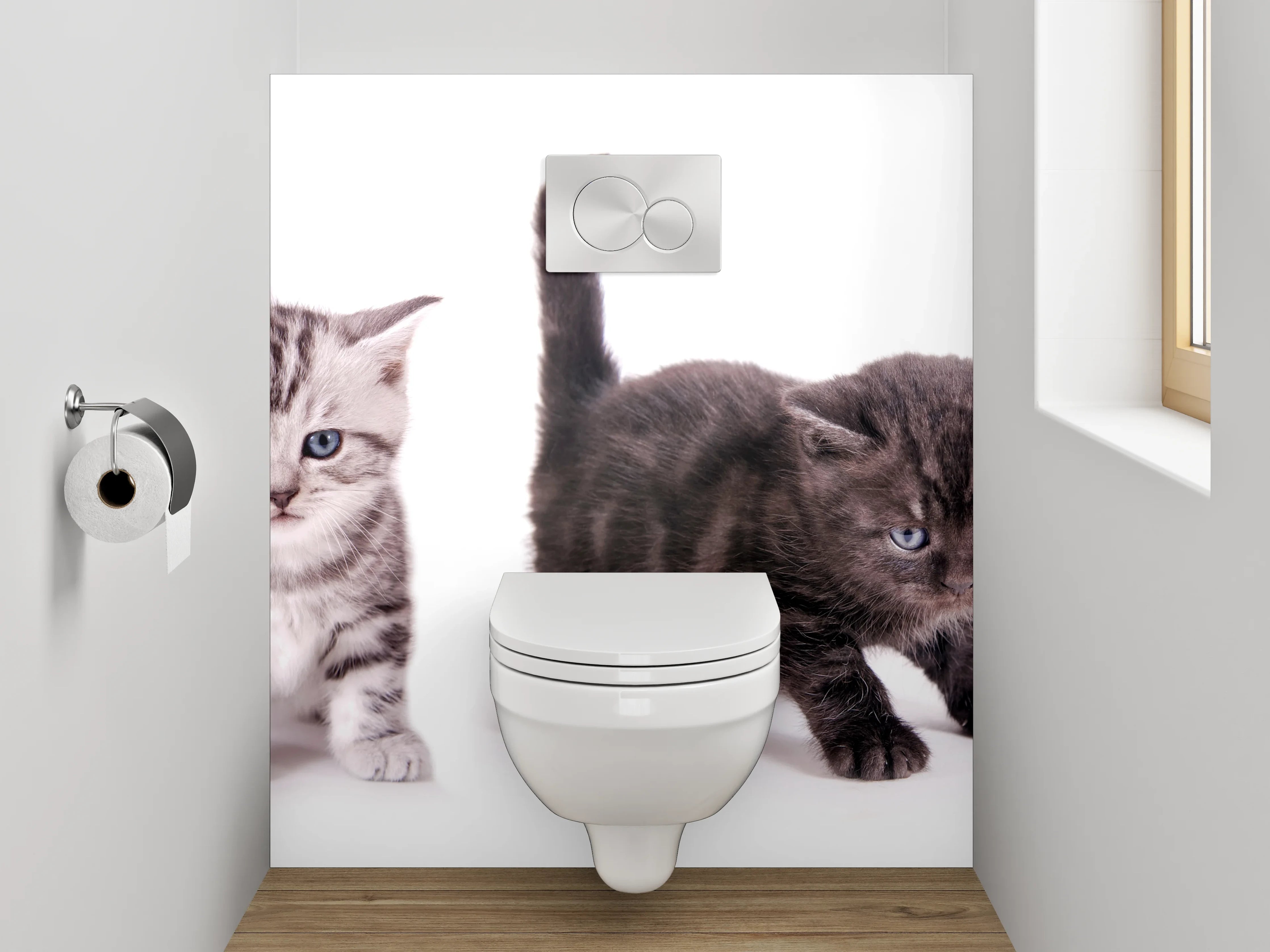 WC-Rückwand - Niedliche Katzenbabys auf Weiß