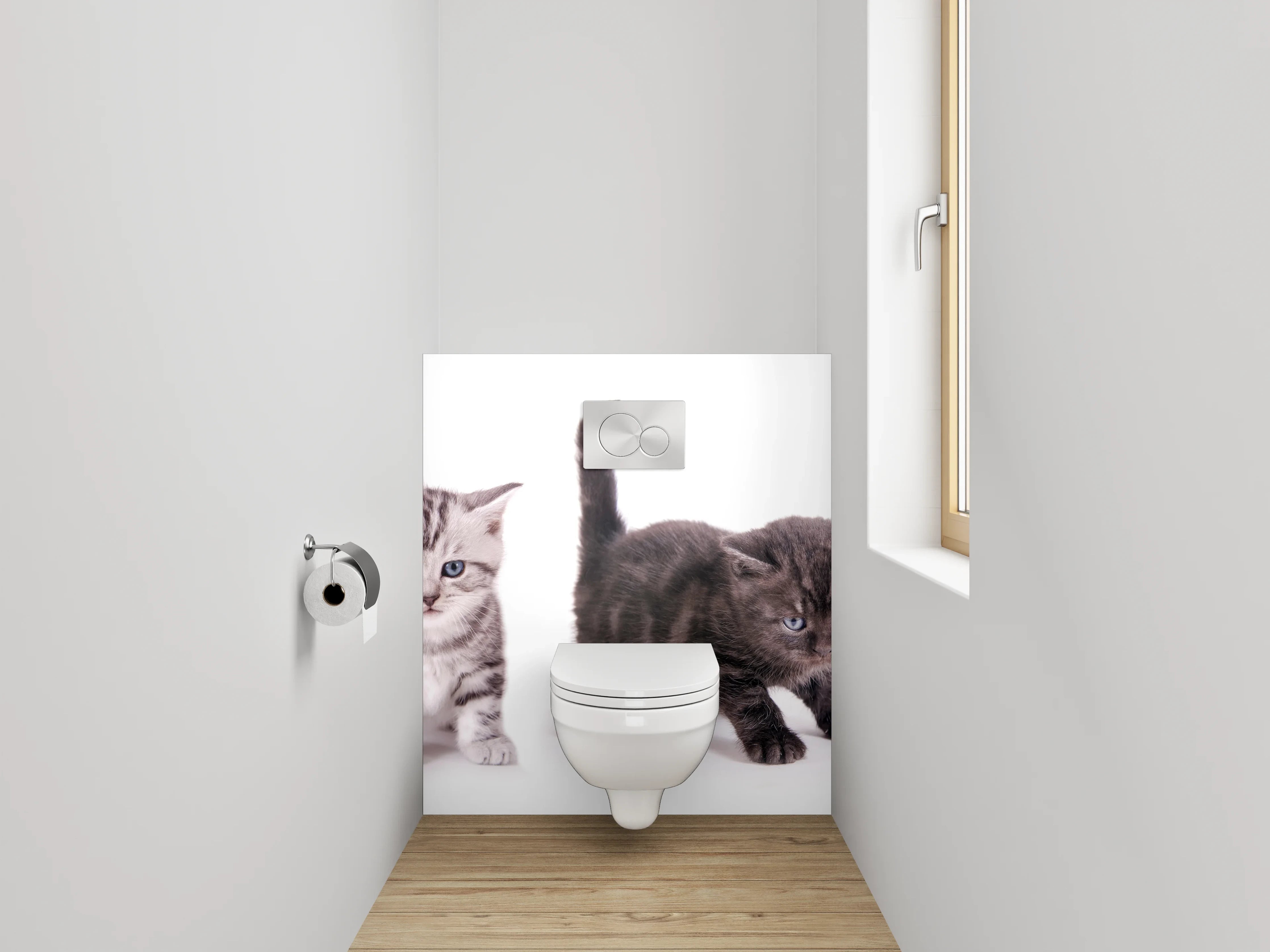 WC-Rückwand - Niedliche Katzenbabys auf Weiß