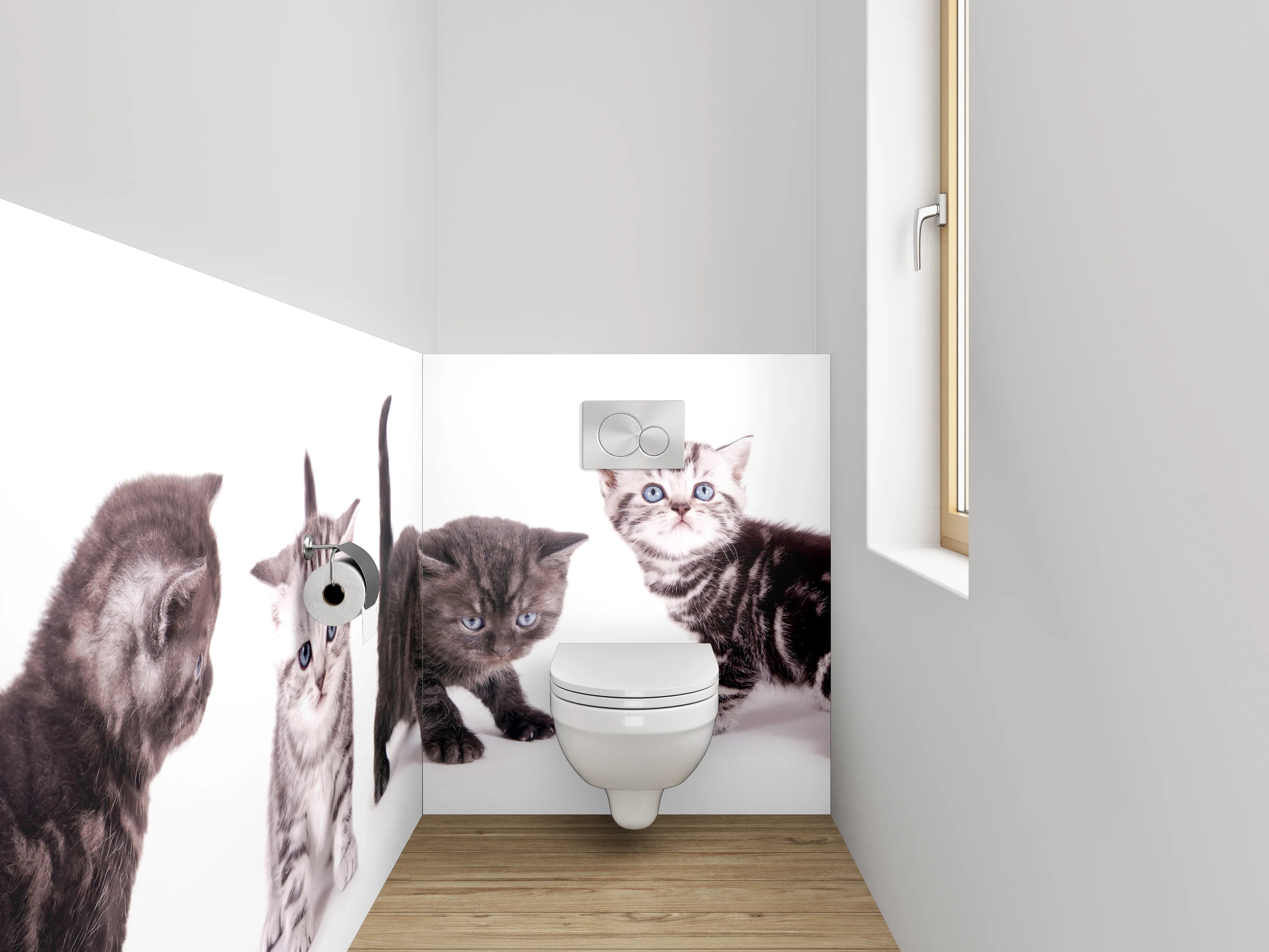 WC-Rückwand - Niedliche Katzenbabys auf Weiß