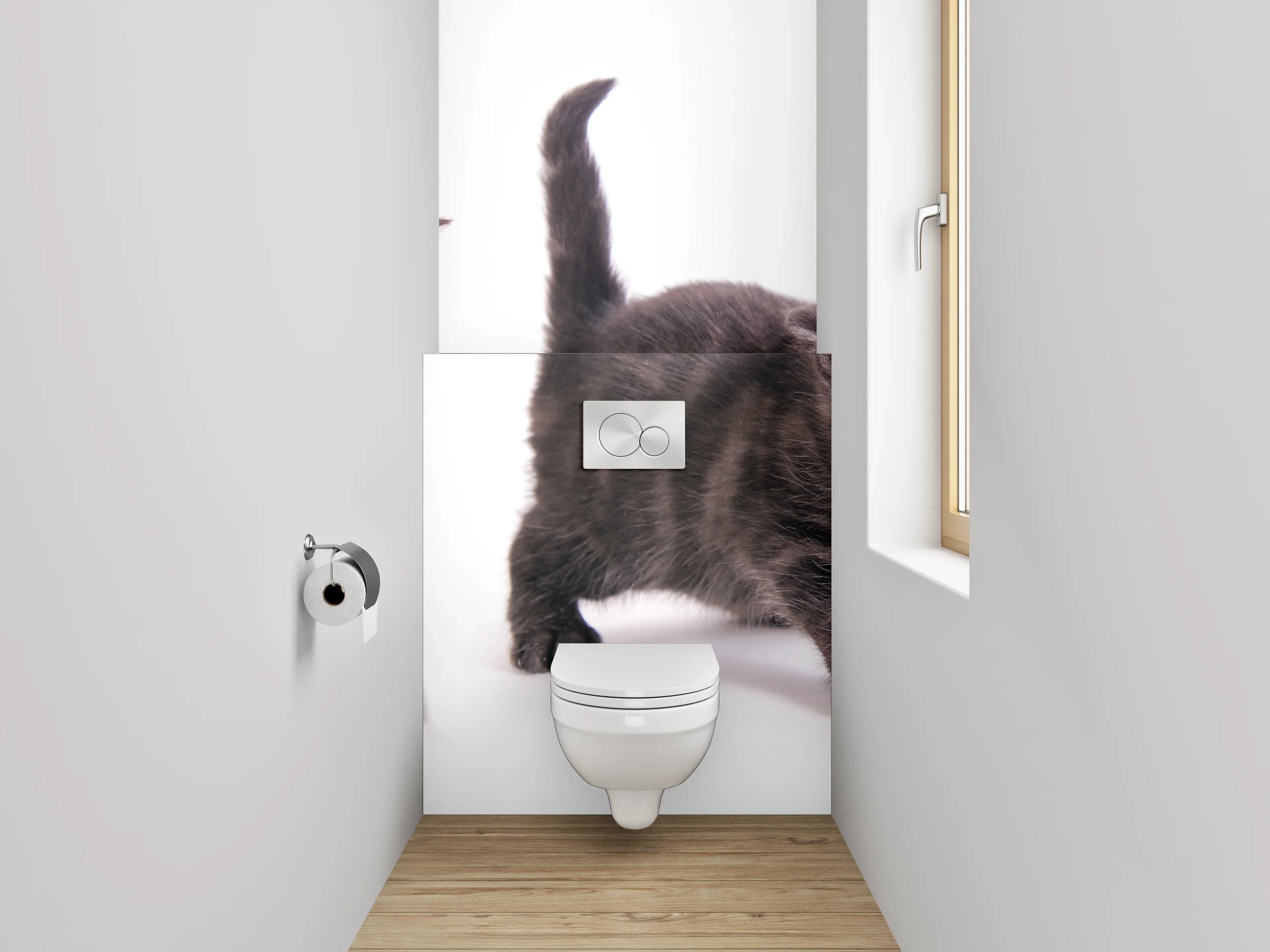 WC-Rückwand - Niedliche Katzenbabys auf Weiß