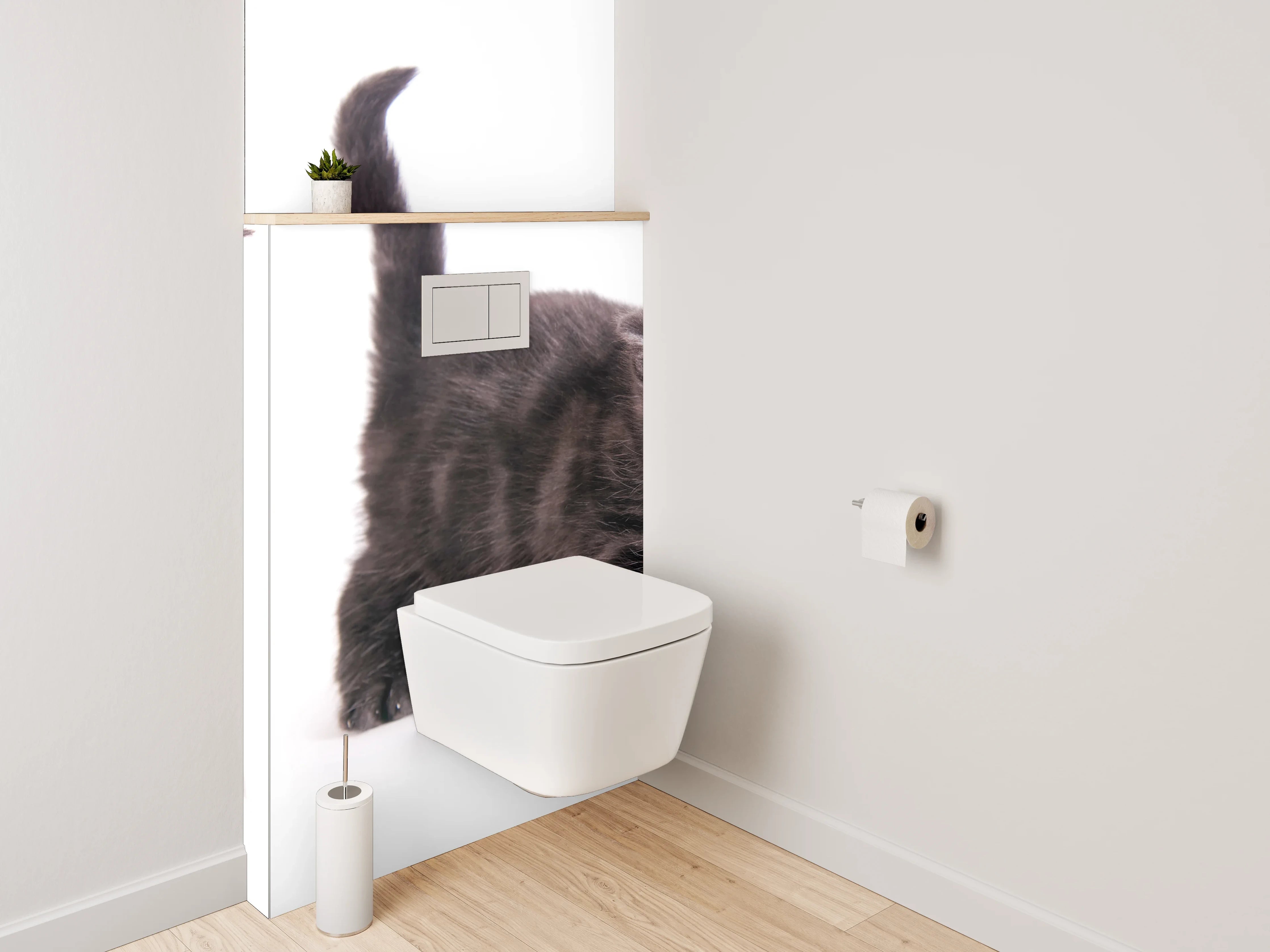 WC-Rückwand - Niedliche Katzenbabys auf Weiß