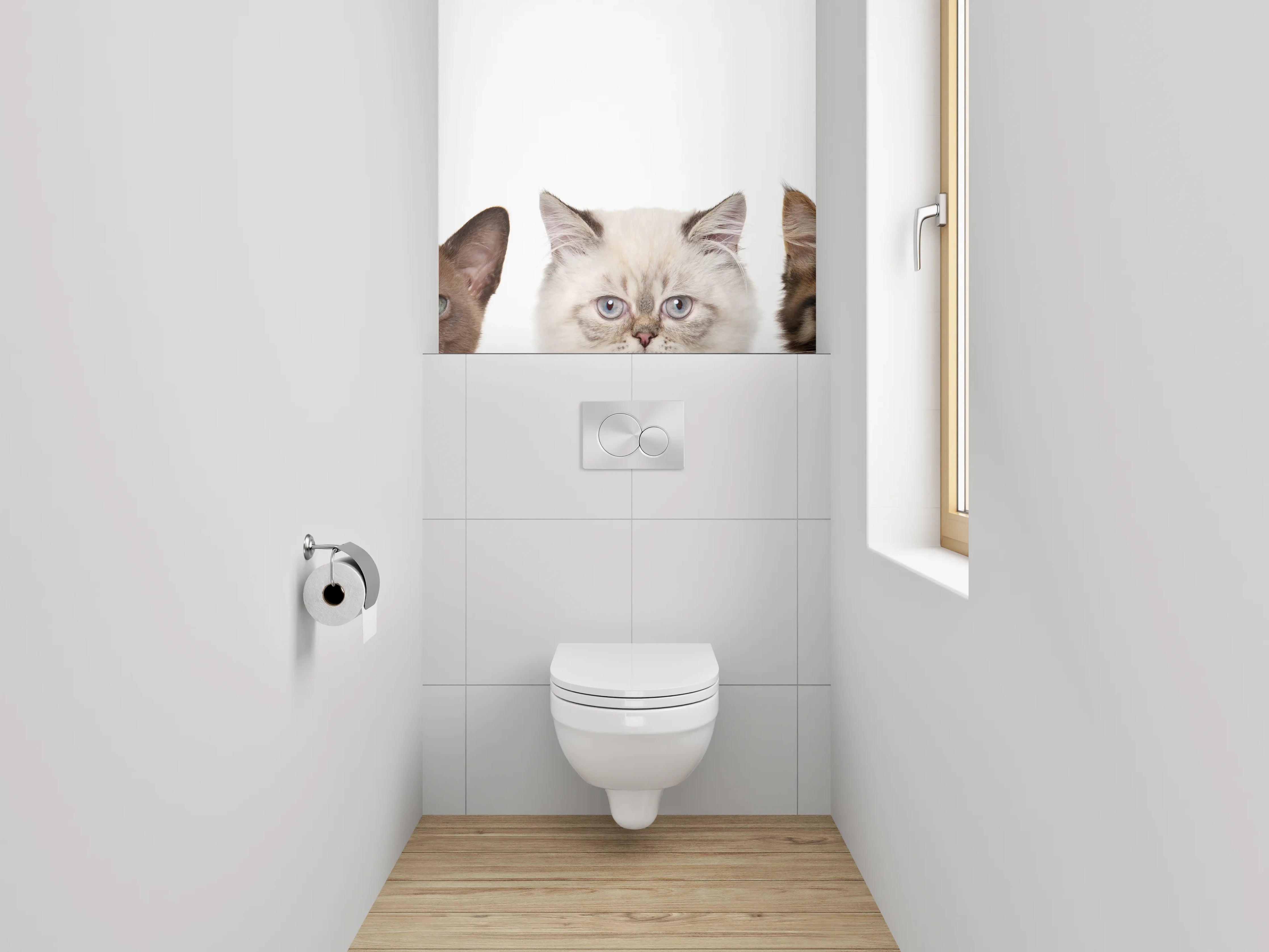 WC-Rückwand - Niedliche Katzenköpfe auf Weiß