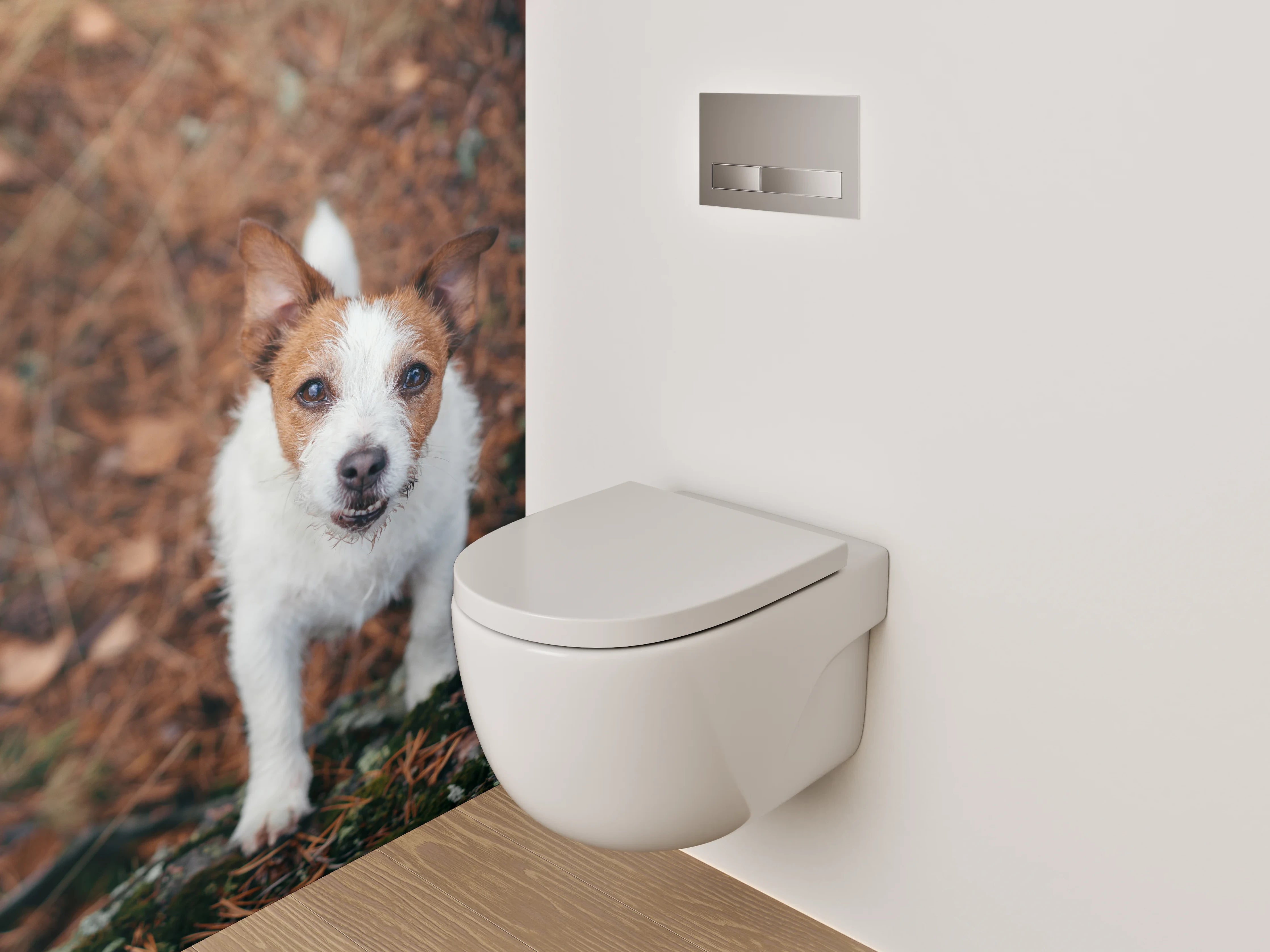 WC-Rückwand - Niedlicher Terrier im herbstlichen Wald