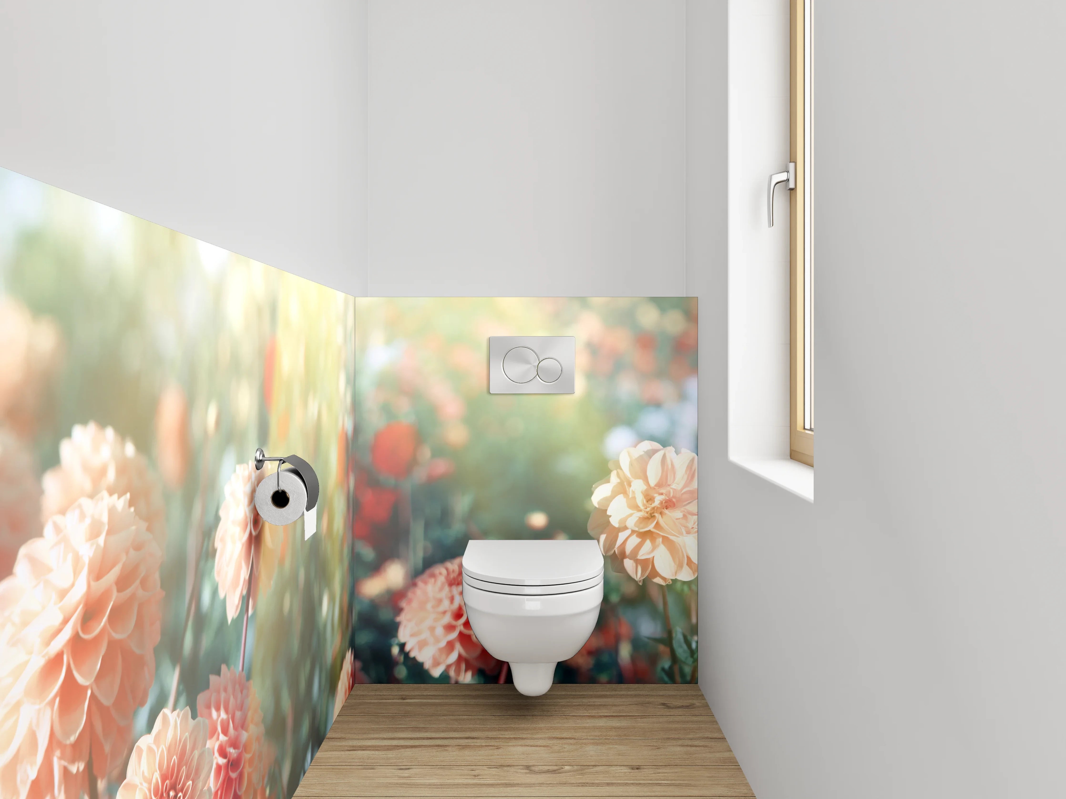 WC-Rückwand - Pfirsichfarbene Dahlien im Sonnenlicht