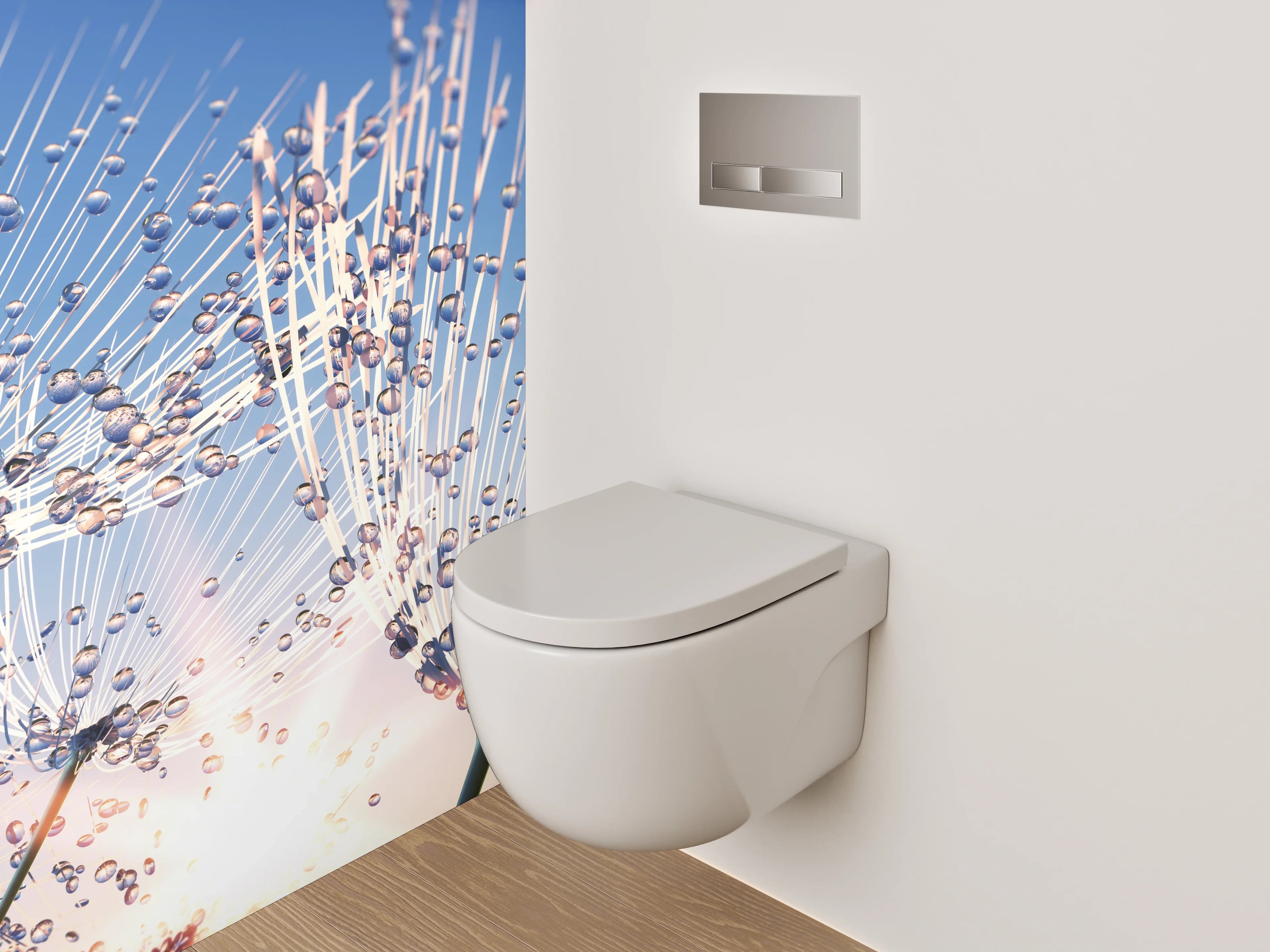 WC-Rückwand - Pusteblumen Sonnenaufgang Naturfoto