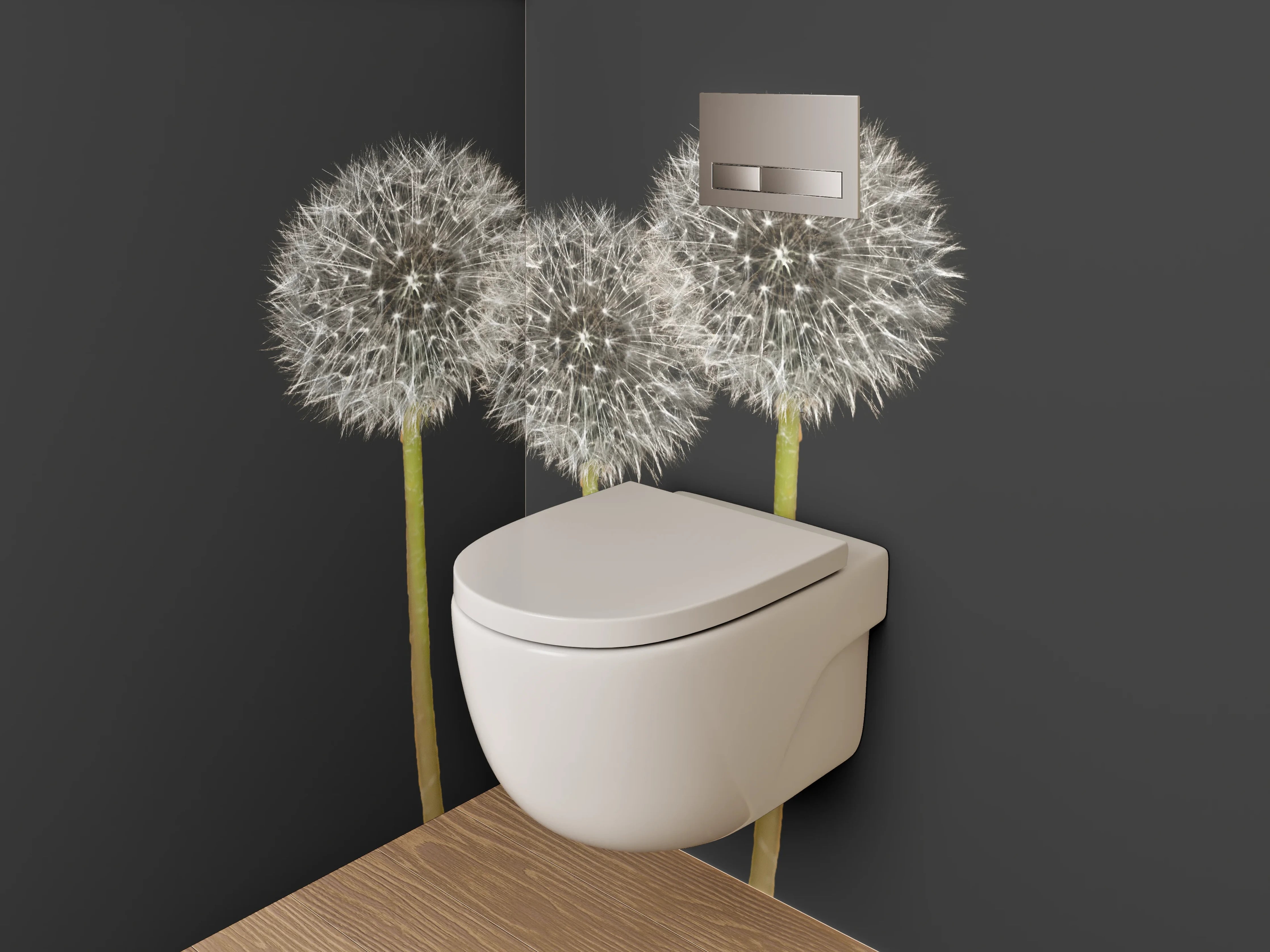 WC-Rückwand - Pusteblumen weiß-grau auf Schwarz