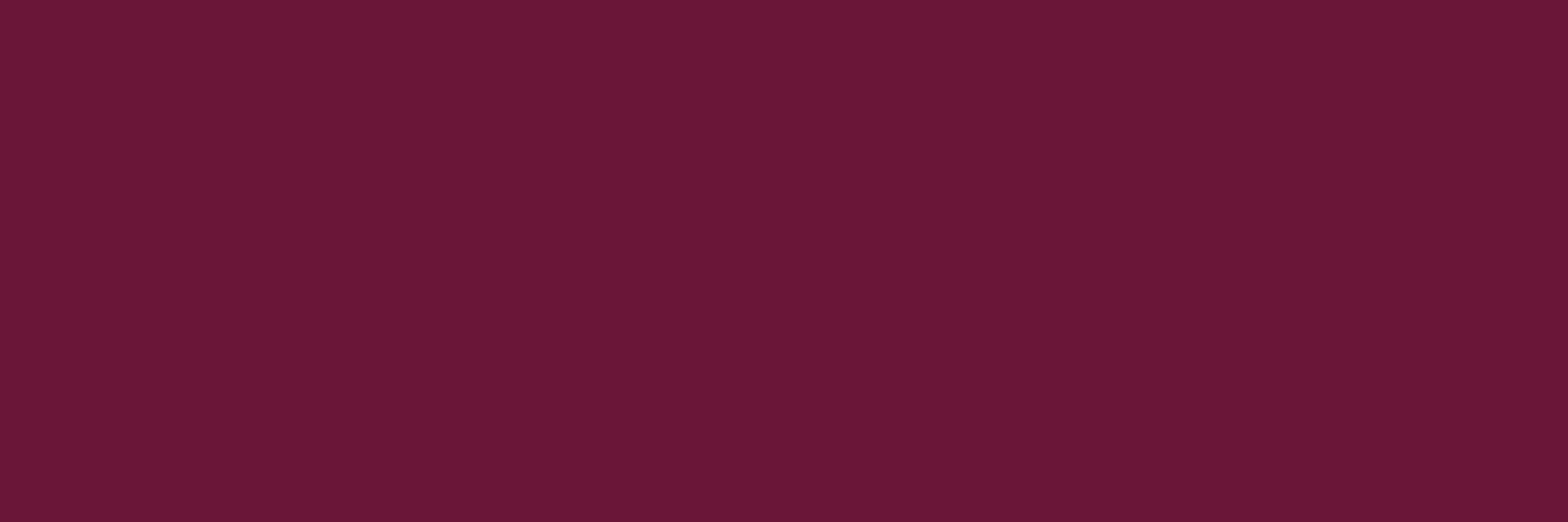 WC-Rückwand-RAL 4004 Bordeauxviolett