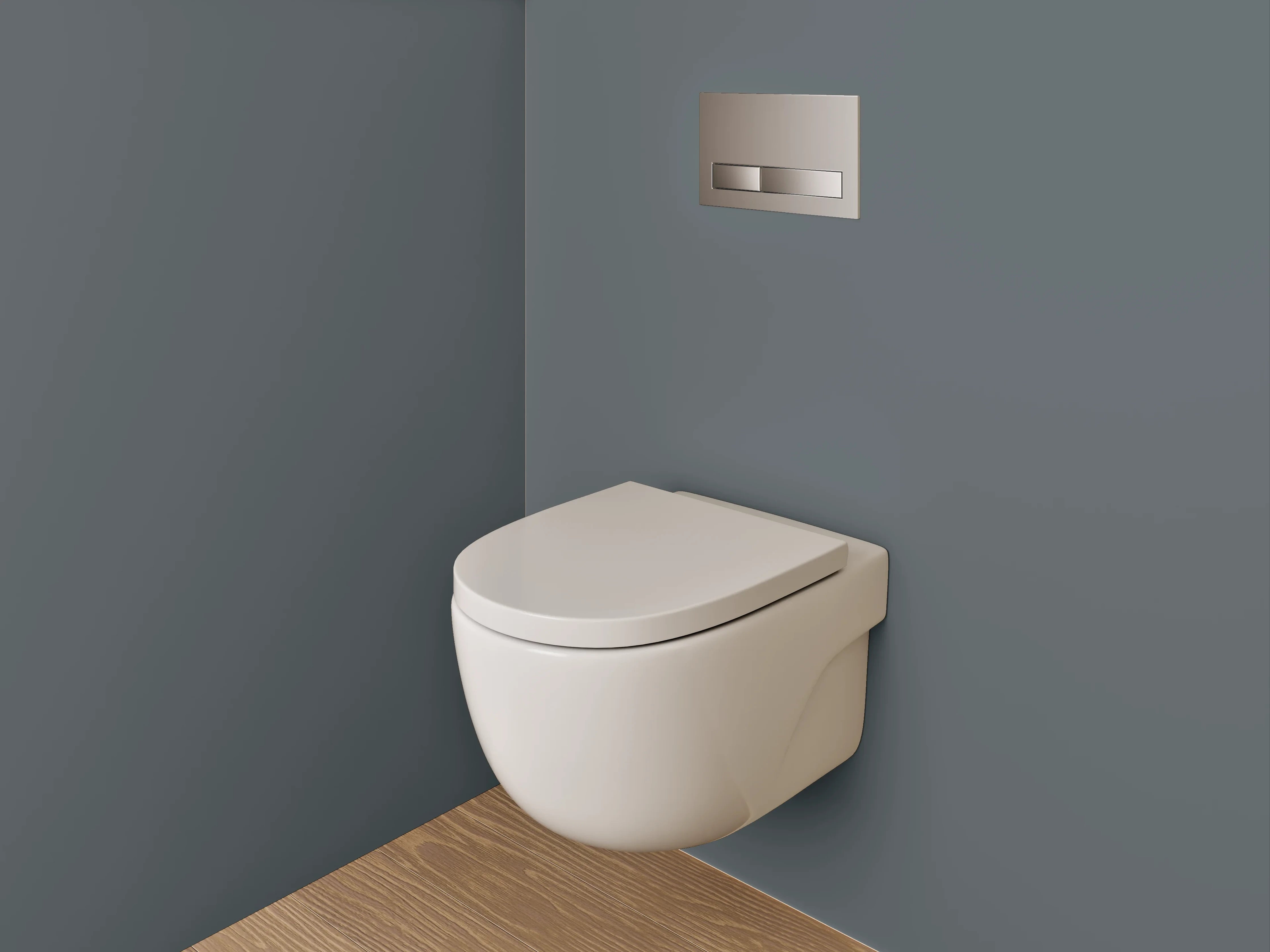 WC-Rückwand - RAL 7011 Eisengrau