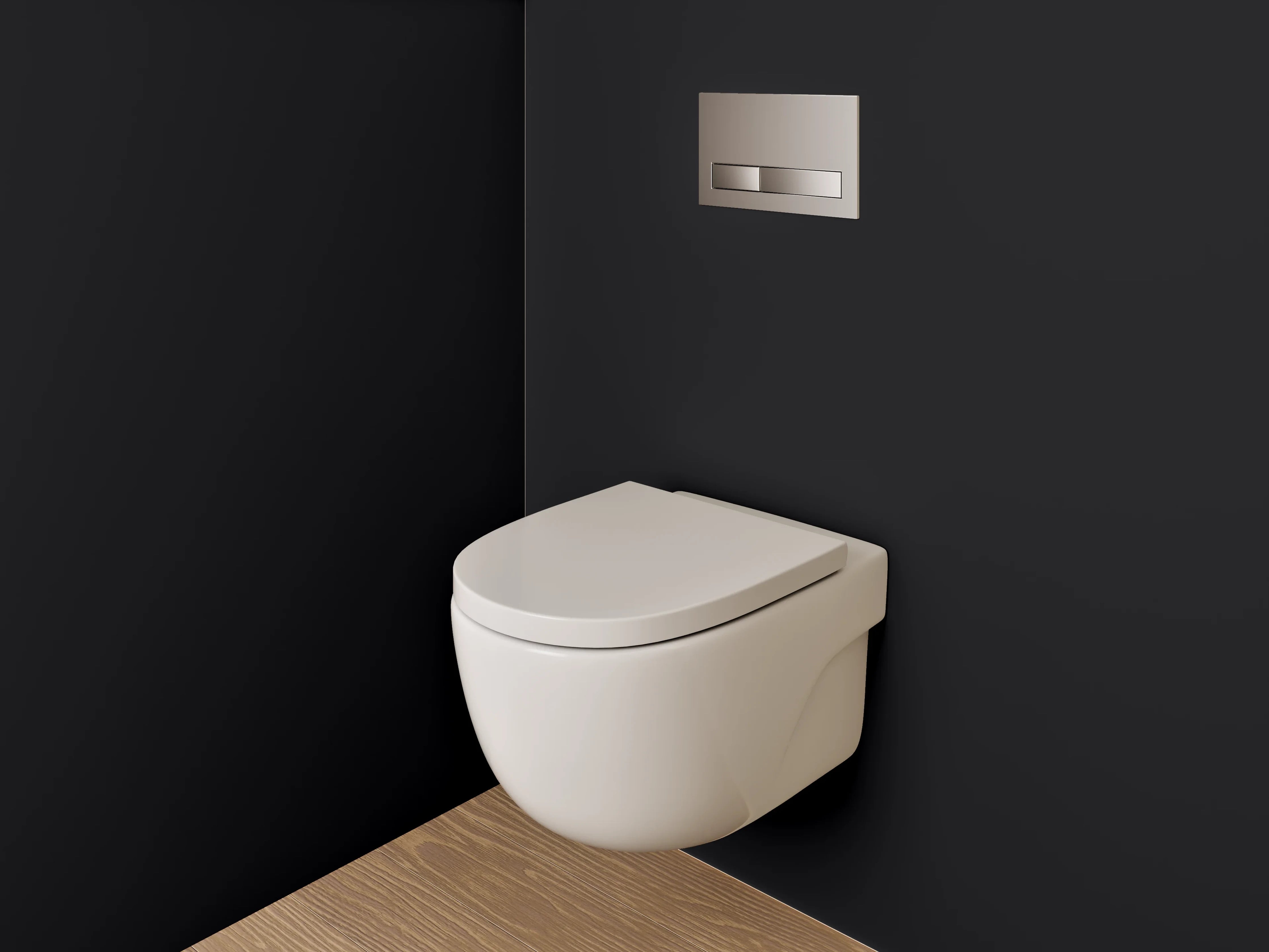 WC-Rückwand - RAL 9005 Tiefschwarz