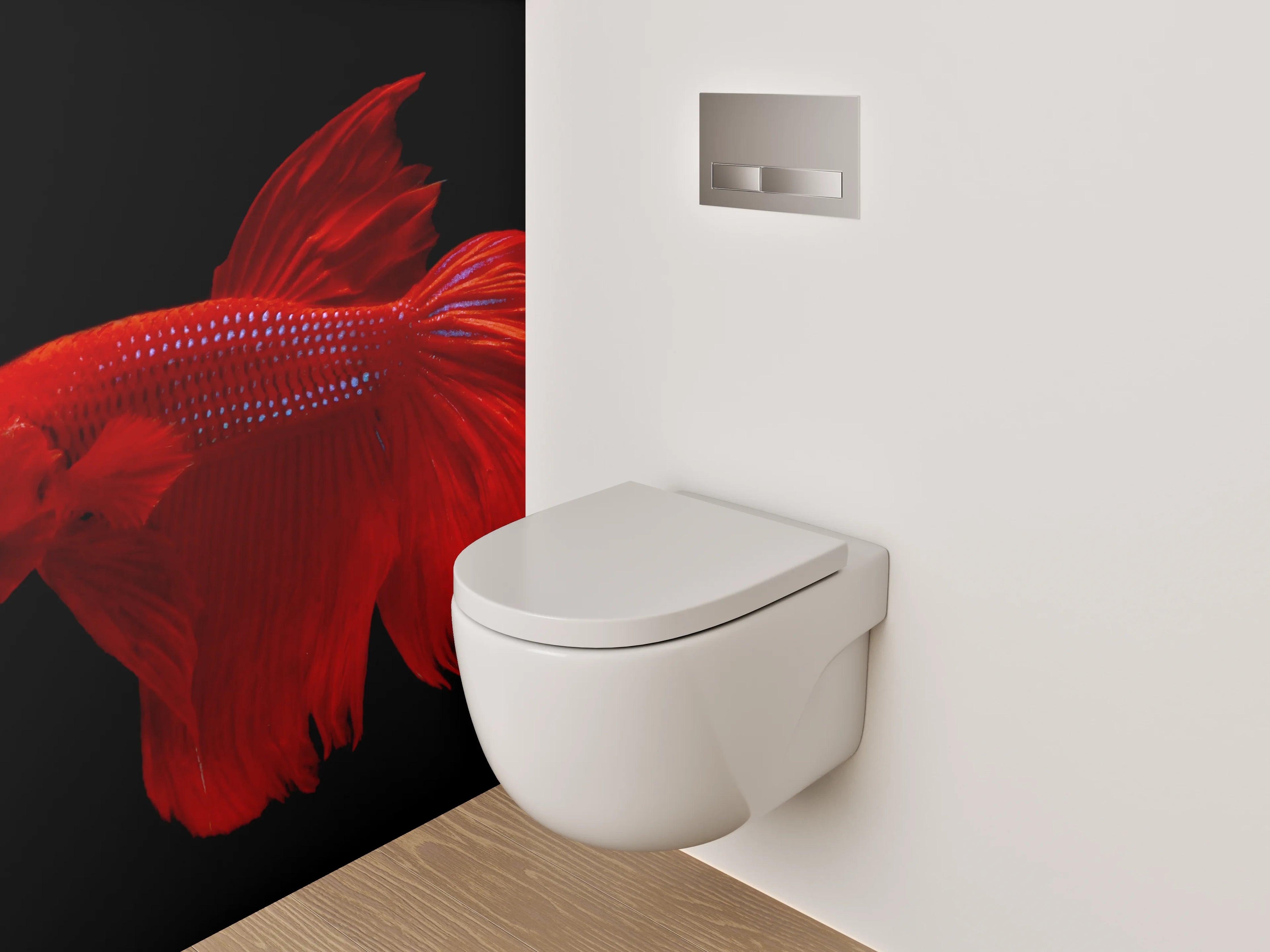 WC-Rückwand - Roter Kampffisch auf Schwarz